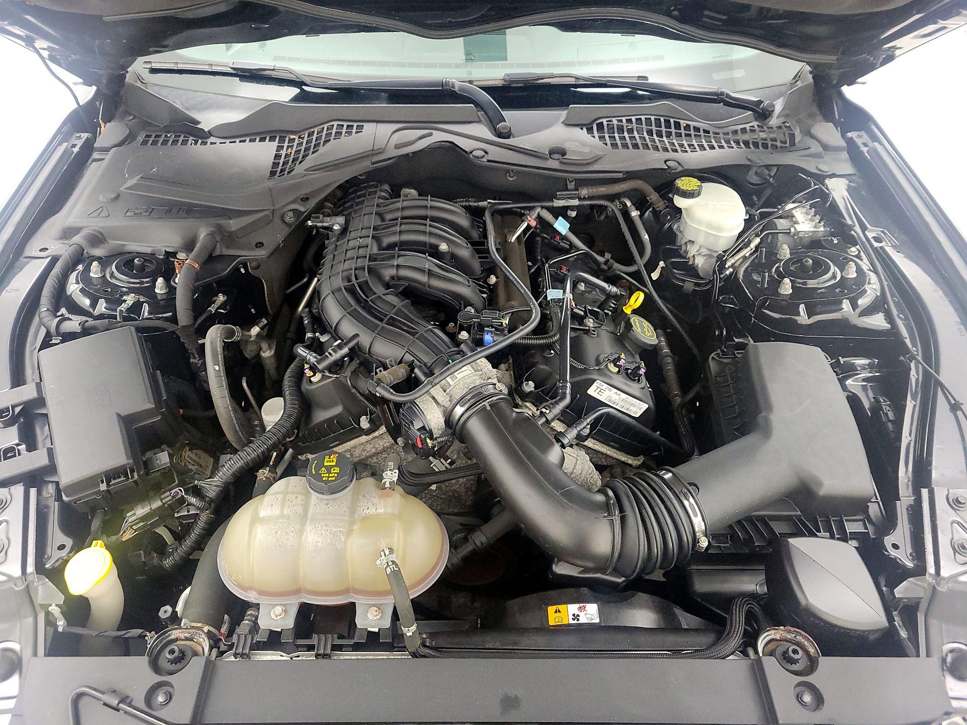 Thumbnail: 2016 Ford Mustang - 20