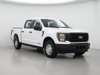 White 2023 Ford F150 XL