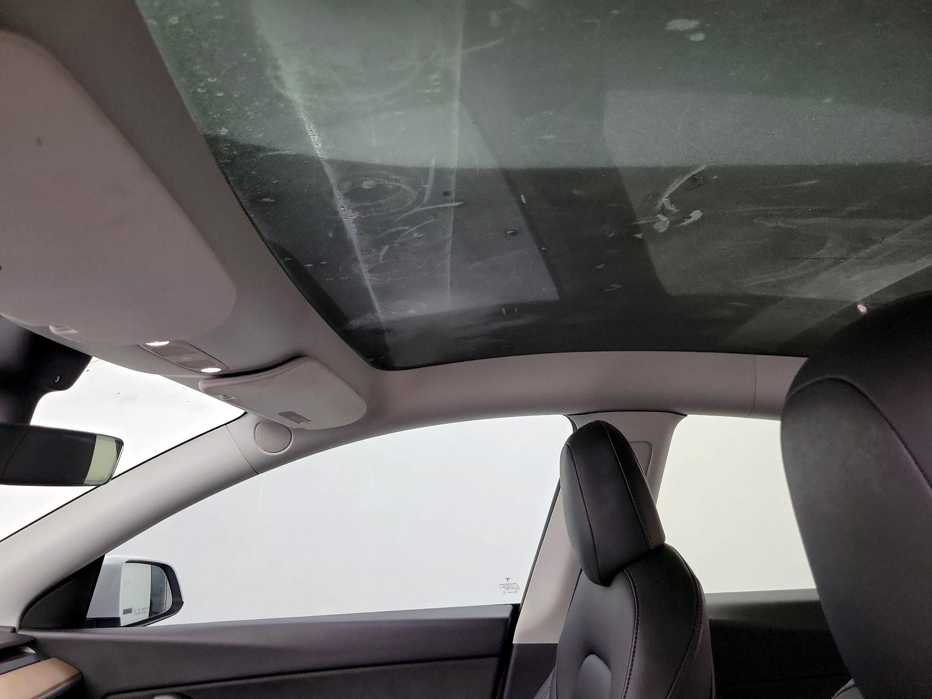 Thumbnail: 2022 Tesla Model Y - 19