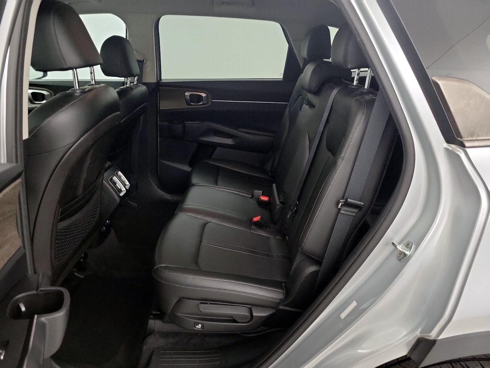 Rear Entertainment System