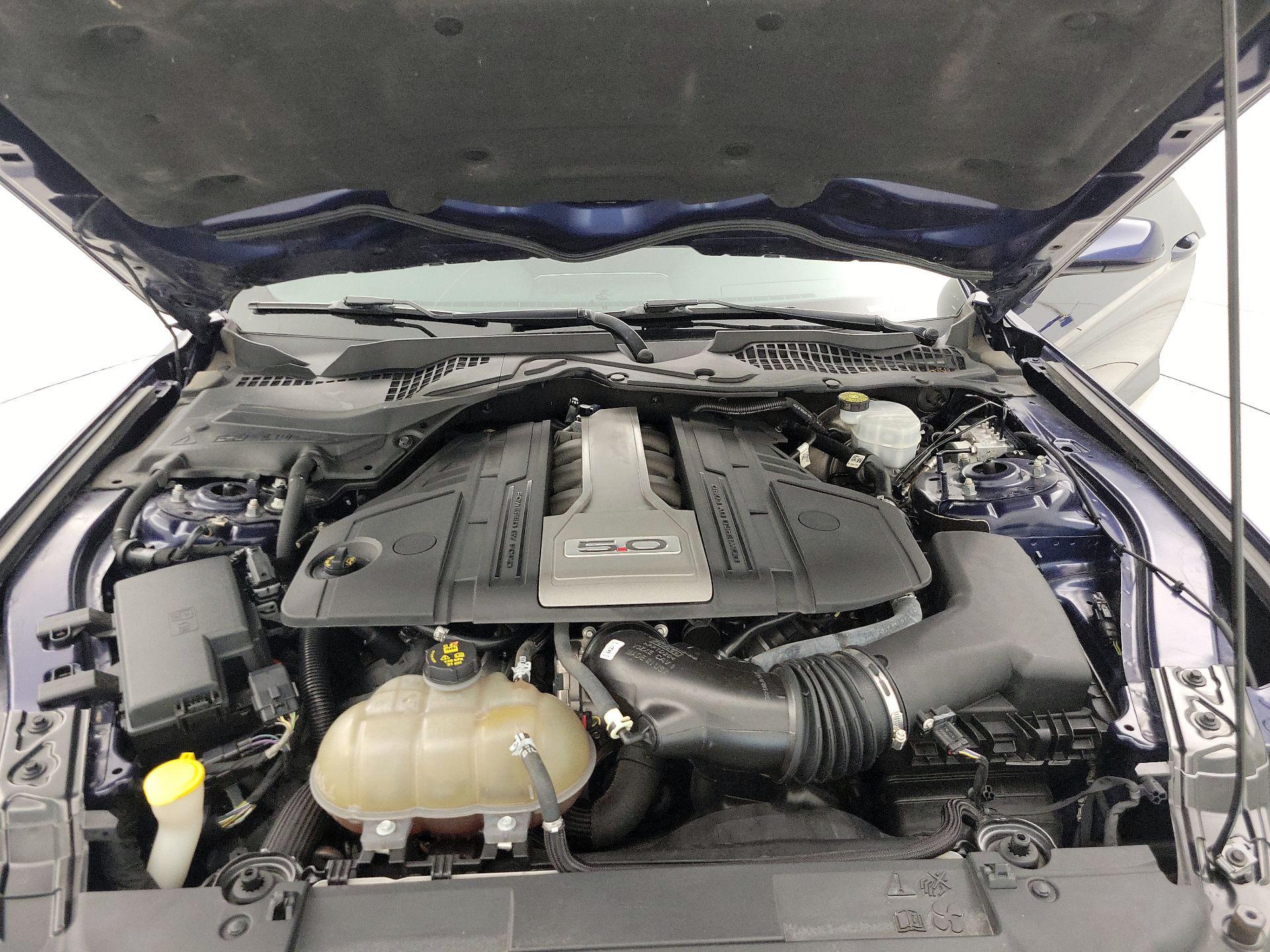 Thumbnail: 2019 Ford Mustang - 19