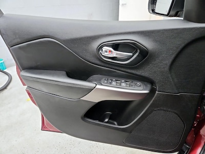 Driver Door Panel