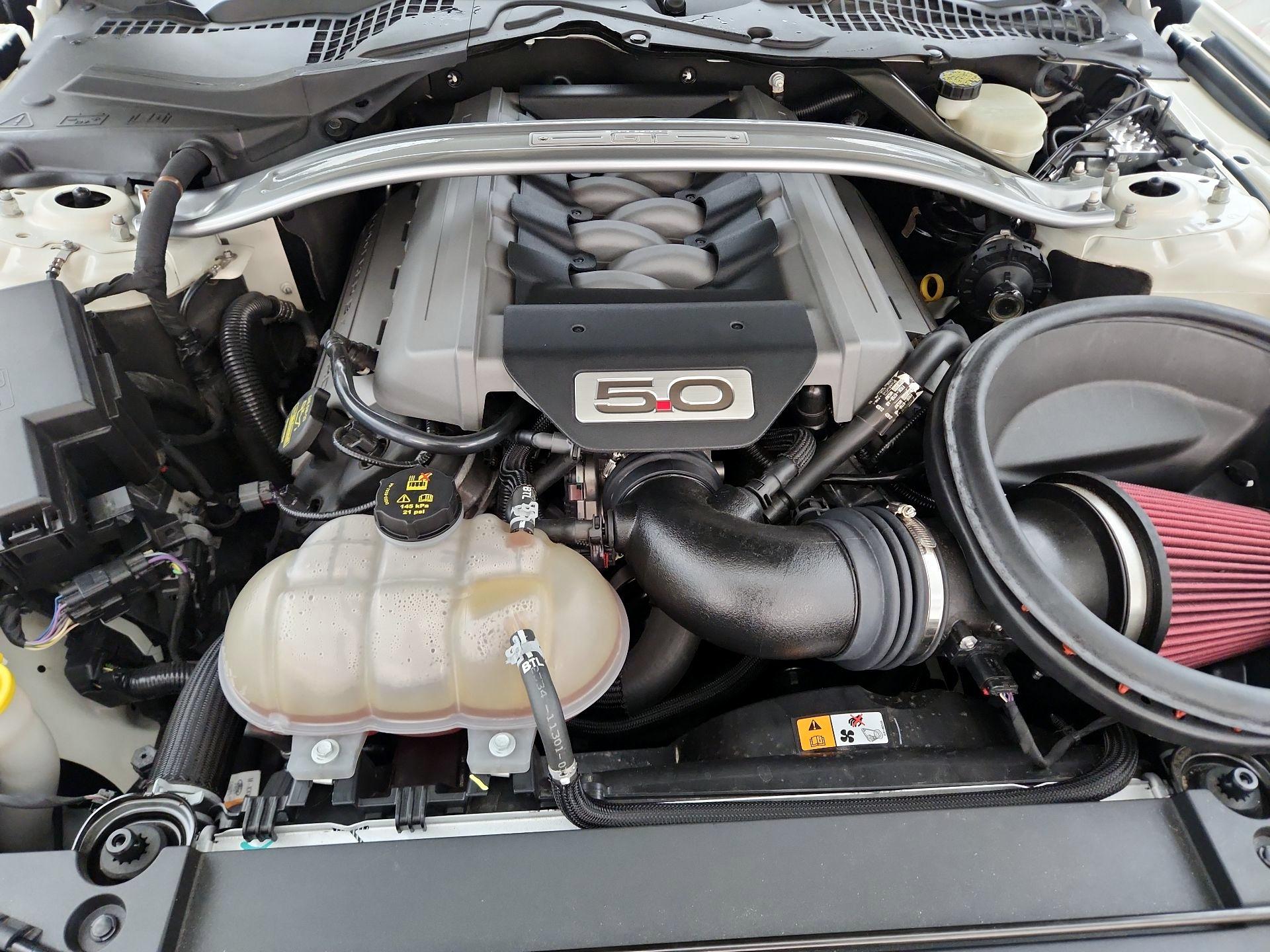 Thumbnail: 2015 Ford Mustang - 20