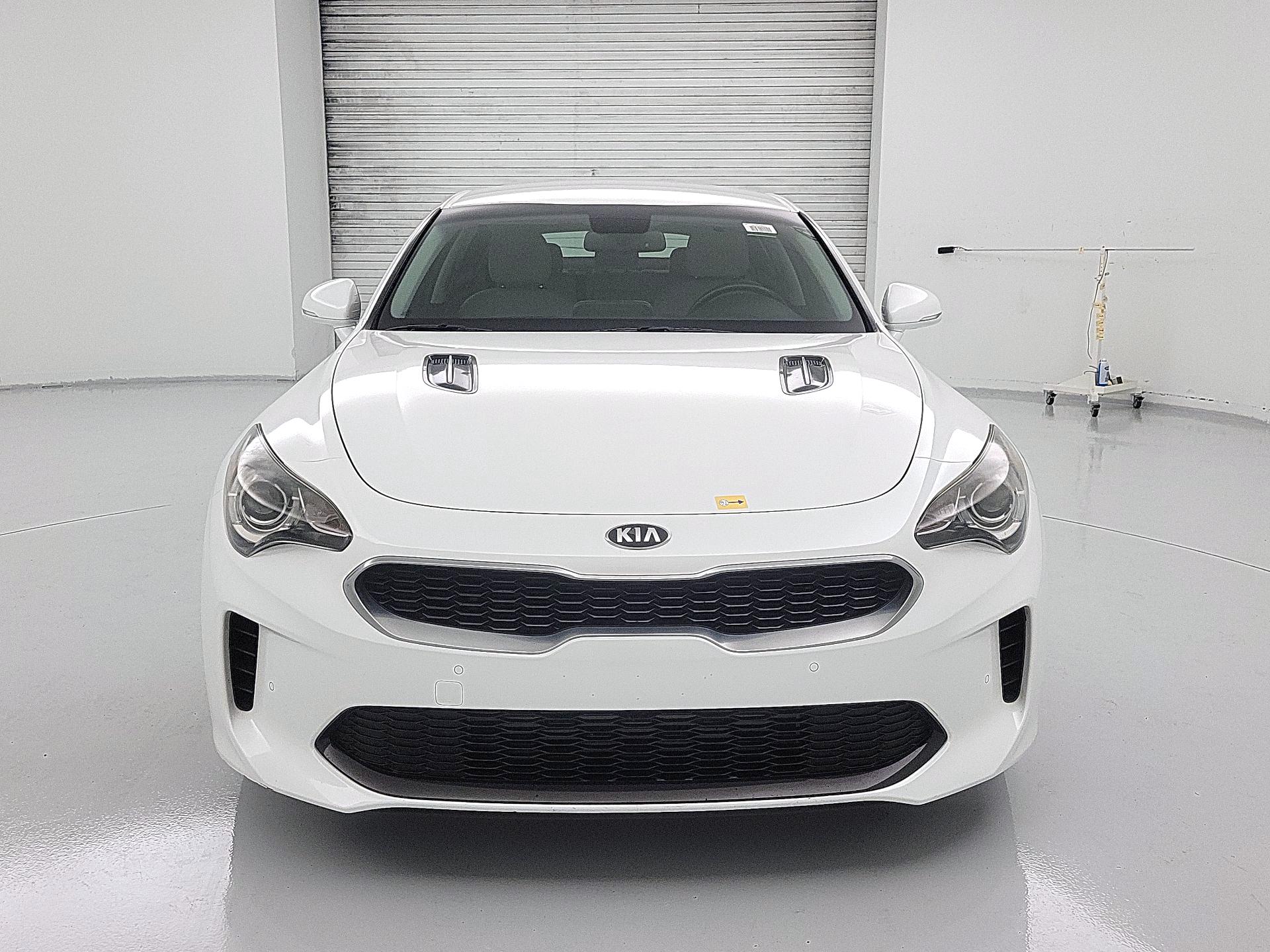 Thumbnail: 2019 Kia Stinger - 2