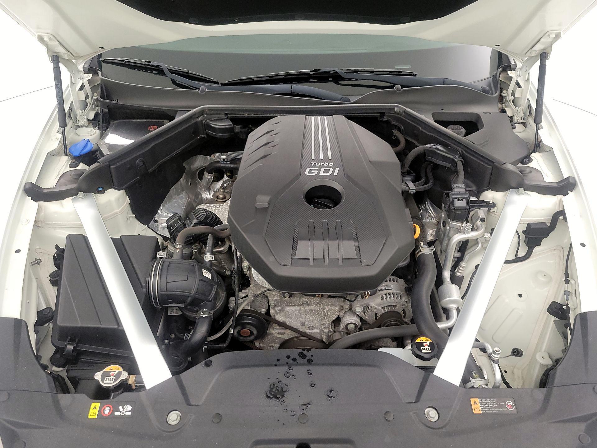 Thumbnail: 2019 Kia Stinger - 19
