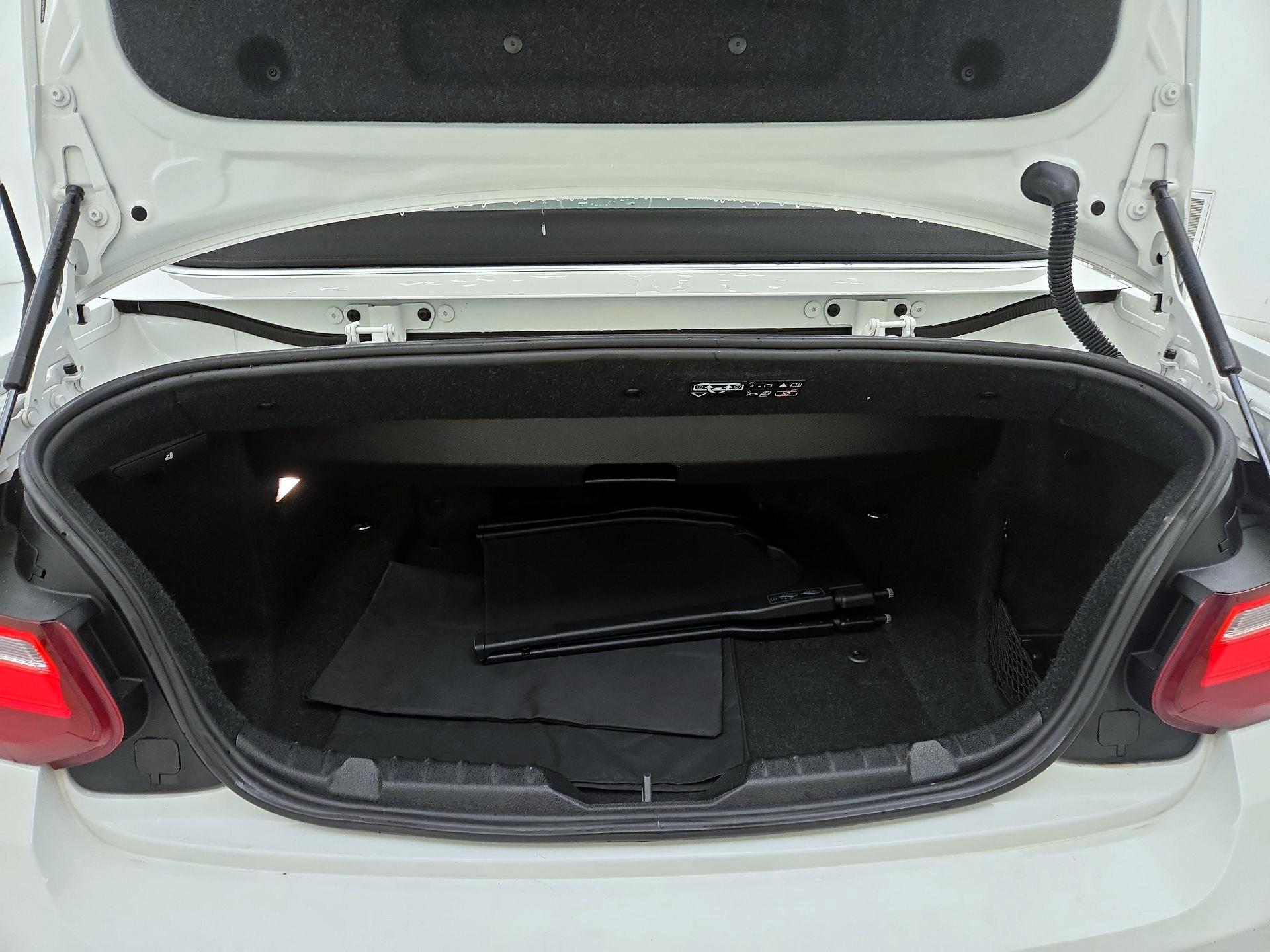 Thumbnail: 2017 BMW 2 Series - 19