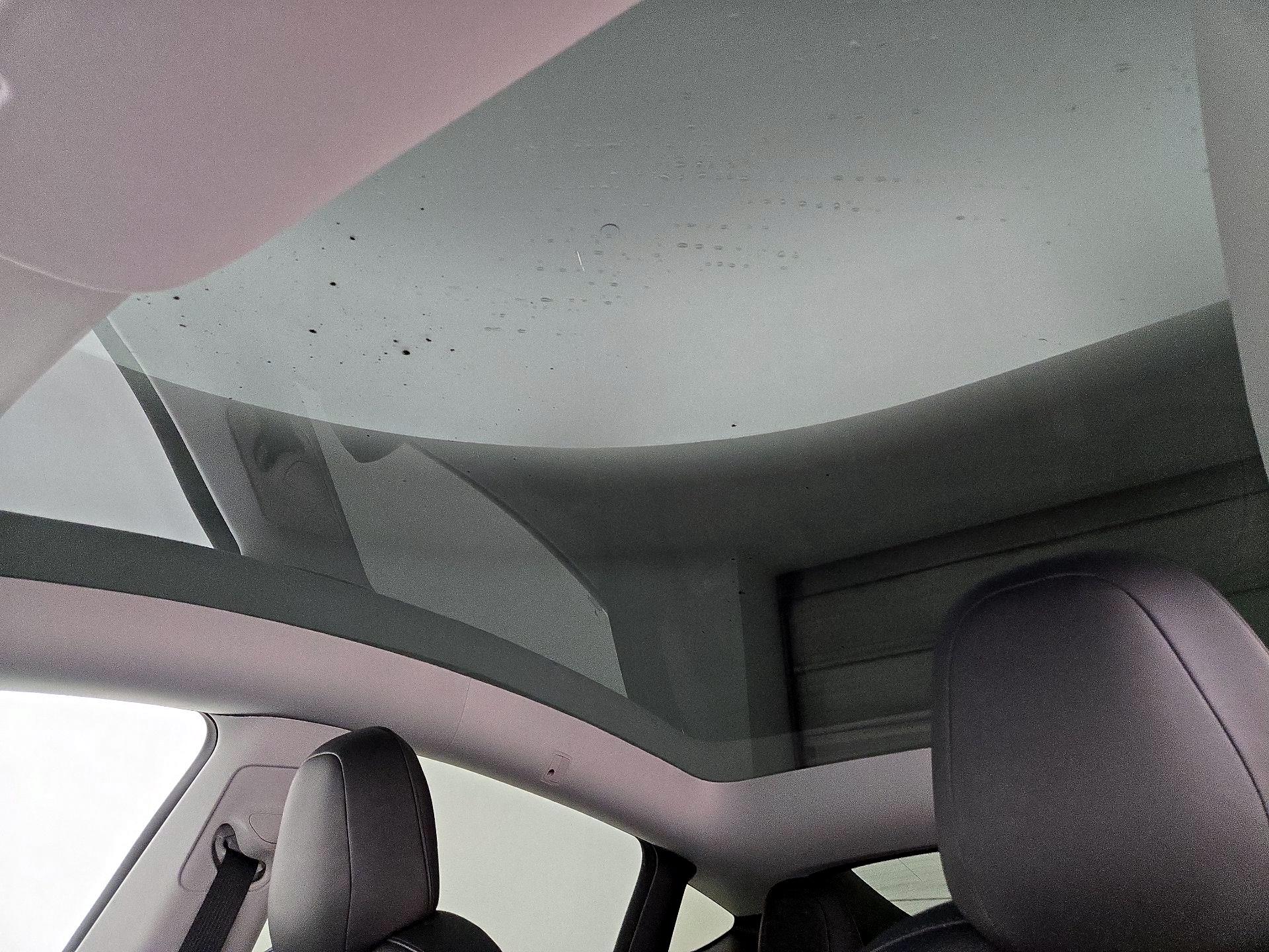 Thumbnail: 2022 Tesla Model Y - 19