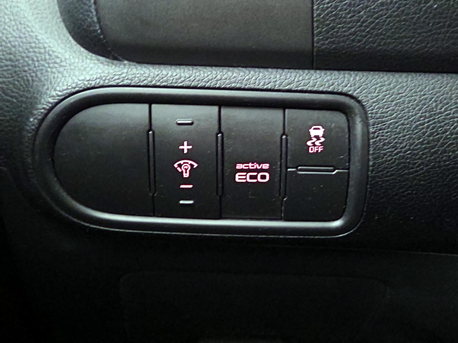 Thumbnail: 2016 Kia Forte - 13