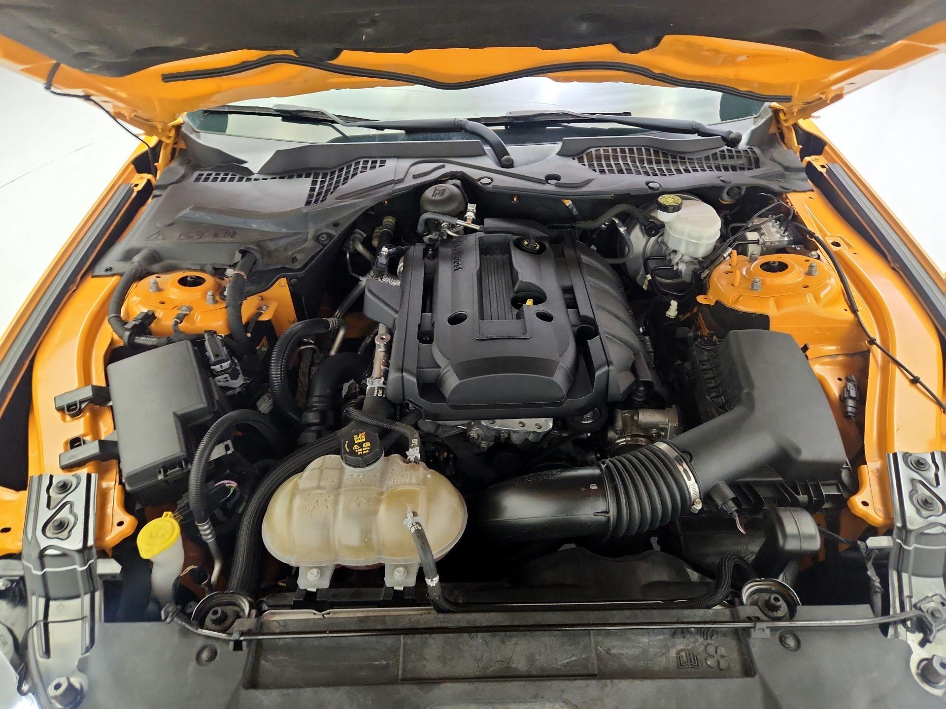 Thumbnail: 2019 Ford Mustang - 19