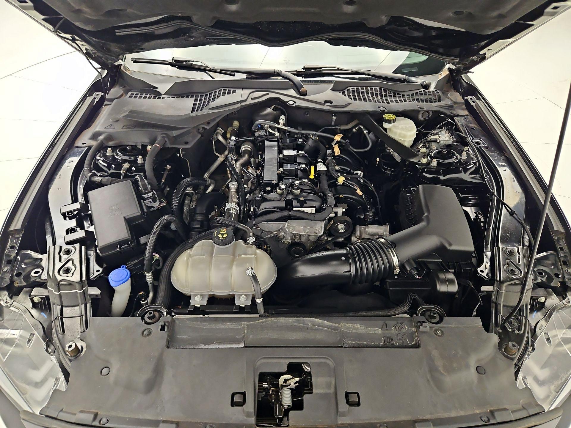 Thumbnail: 2023 Ford Mustang - 18