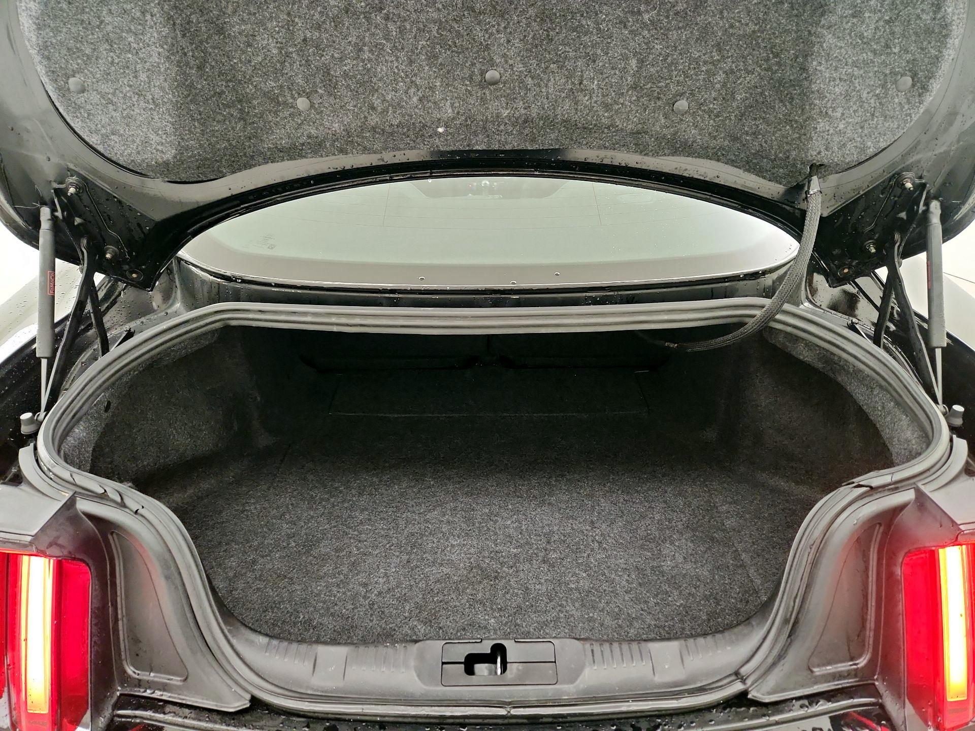 Thumbnail: 2017 Ford Mustang - 20