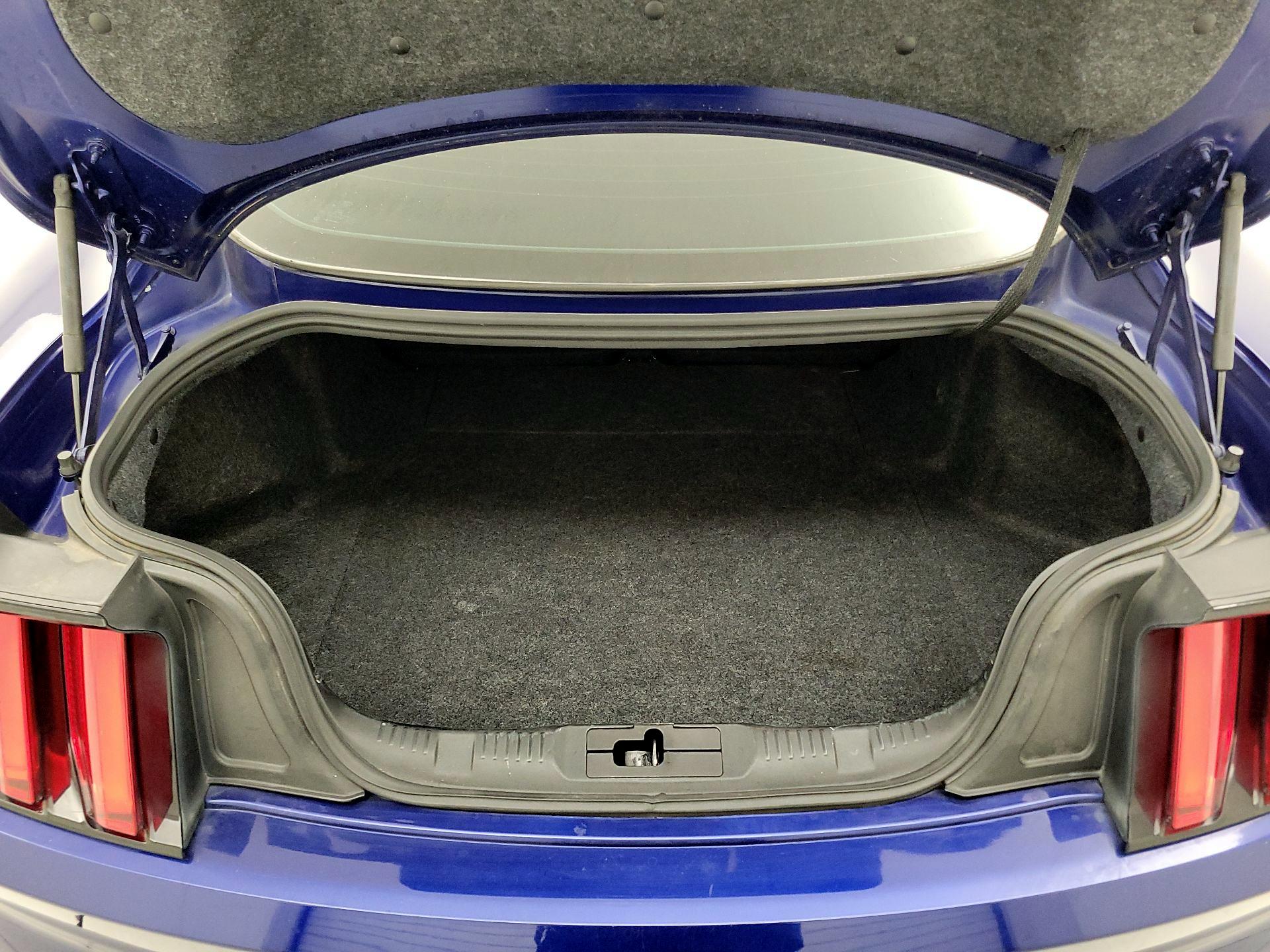 Thumbnail: 2016 Ford Mustang - 19