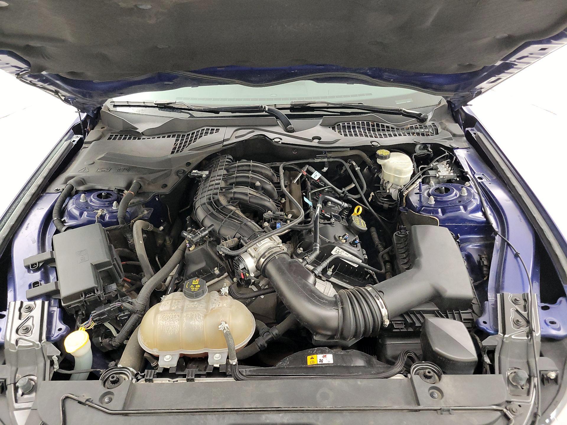 Thumbnail: 2016 Ford Mustang - 20