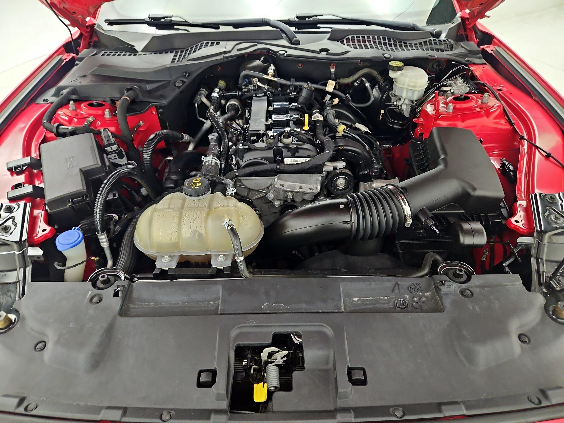 Thumbnail: 2021 Ford Mustang - 20