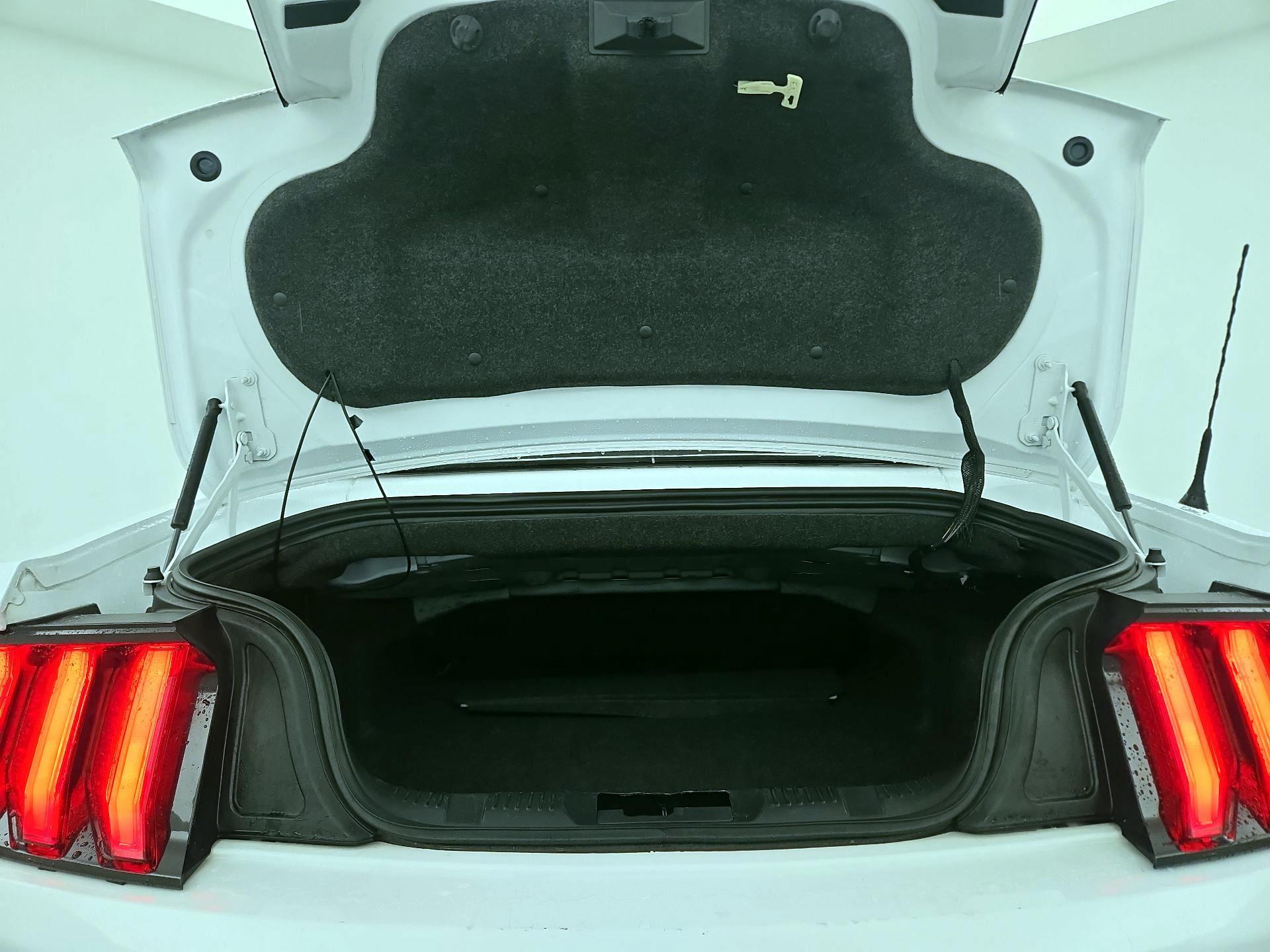 Thumbnail: 2023 Ford Mustang - 19