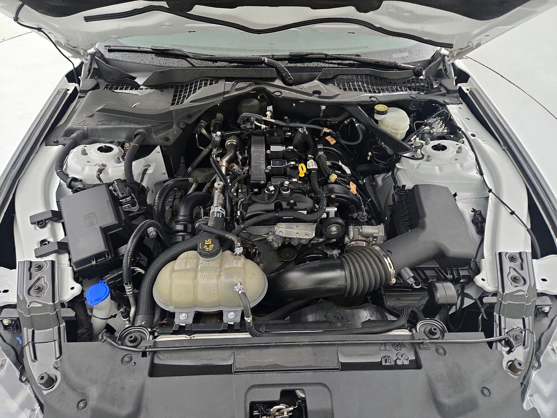 Thumbnail: 2023 Ford Mustang - 20