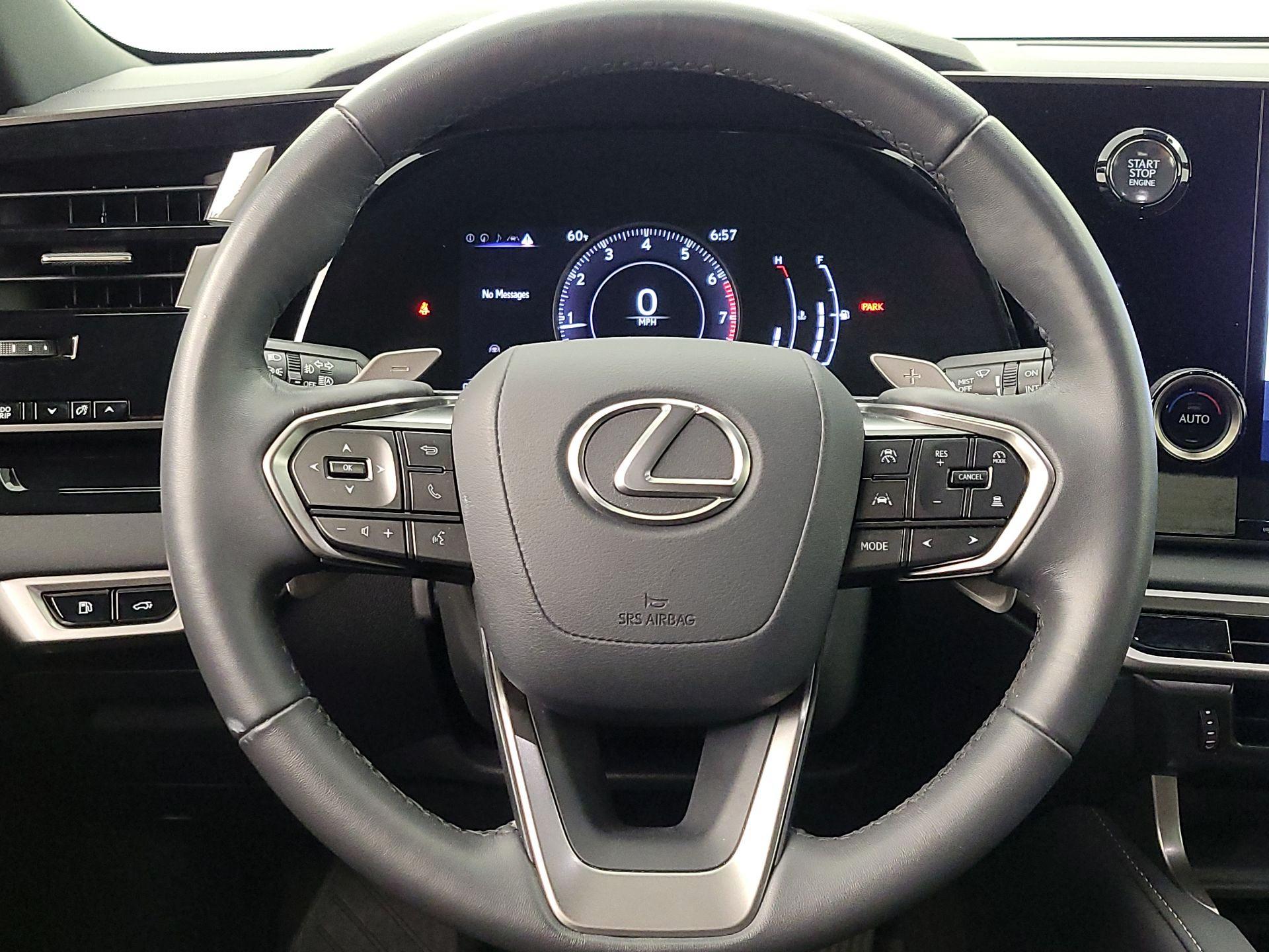 Thumbnail: 2024 Lexus RX - 10