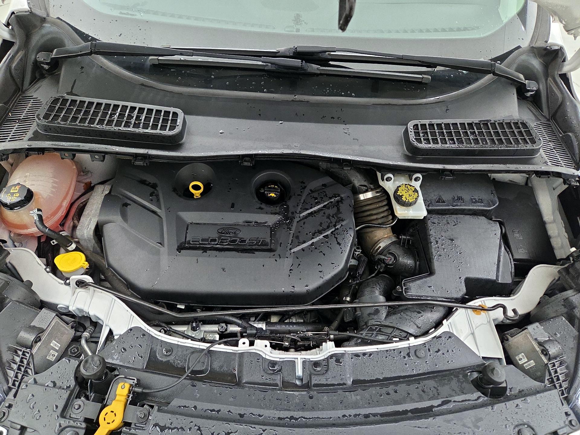 Thumbnail: 2019 Ford Escape - 20