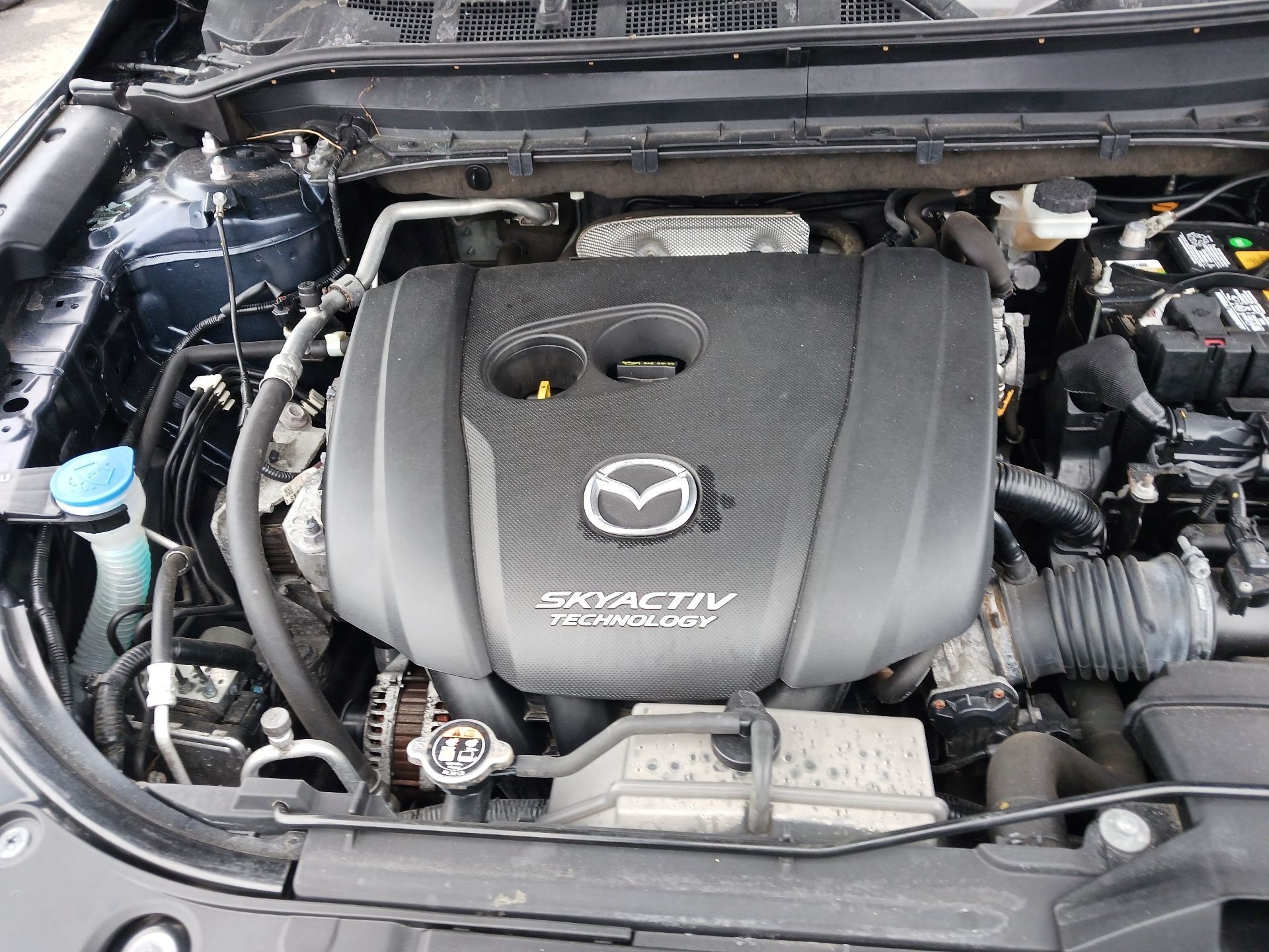 Thumbnail: 2019 Mazda CX-5 - 12