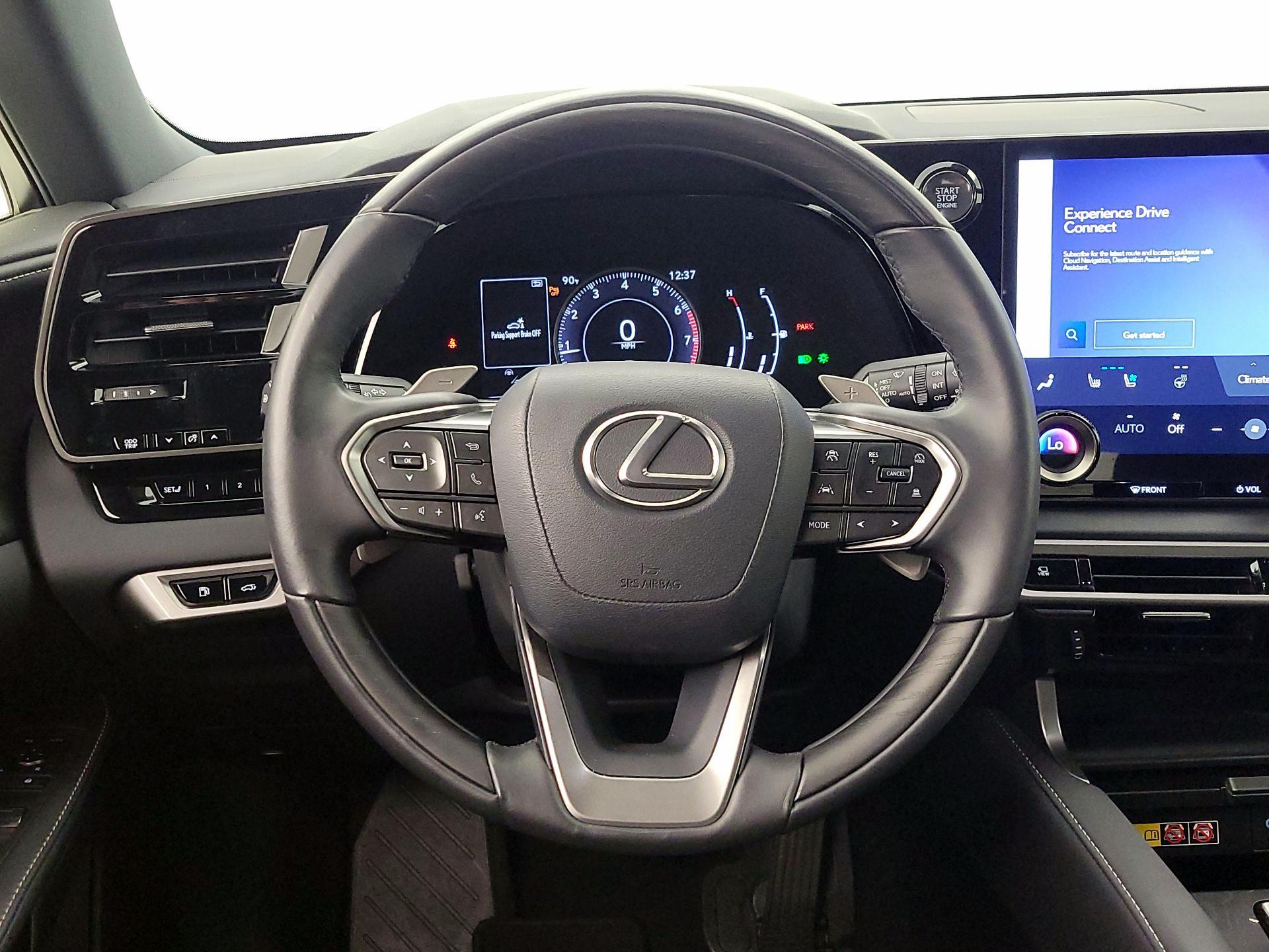 Thumbnail: 2024 Lexus RX - 10