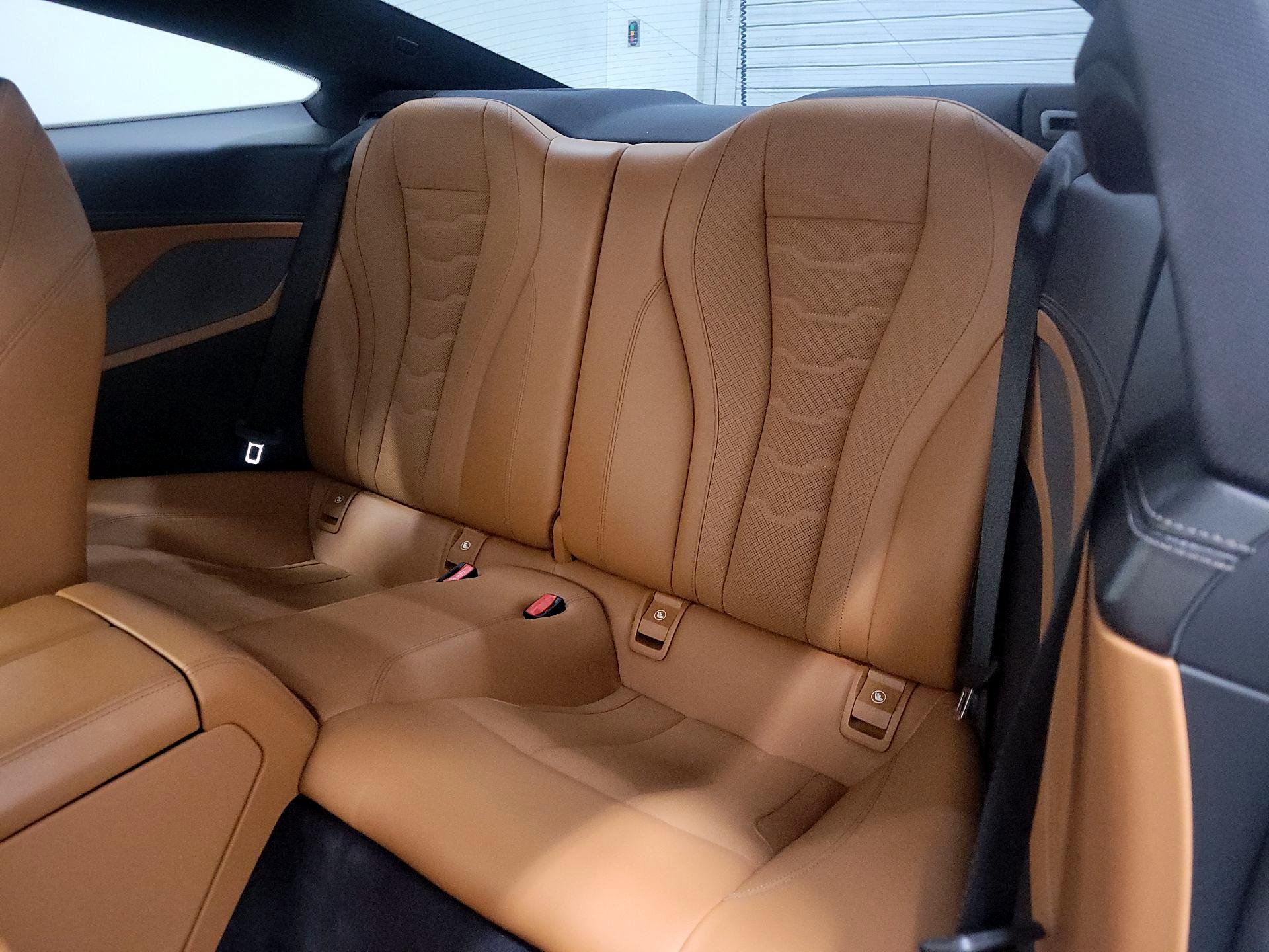 Thumbnail: 2019 BMW 8 Series - 20