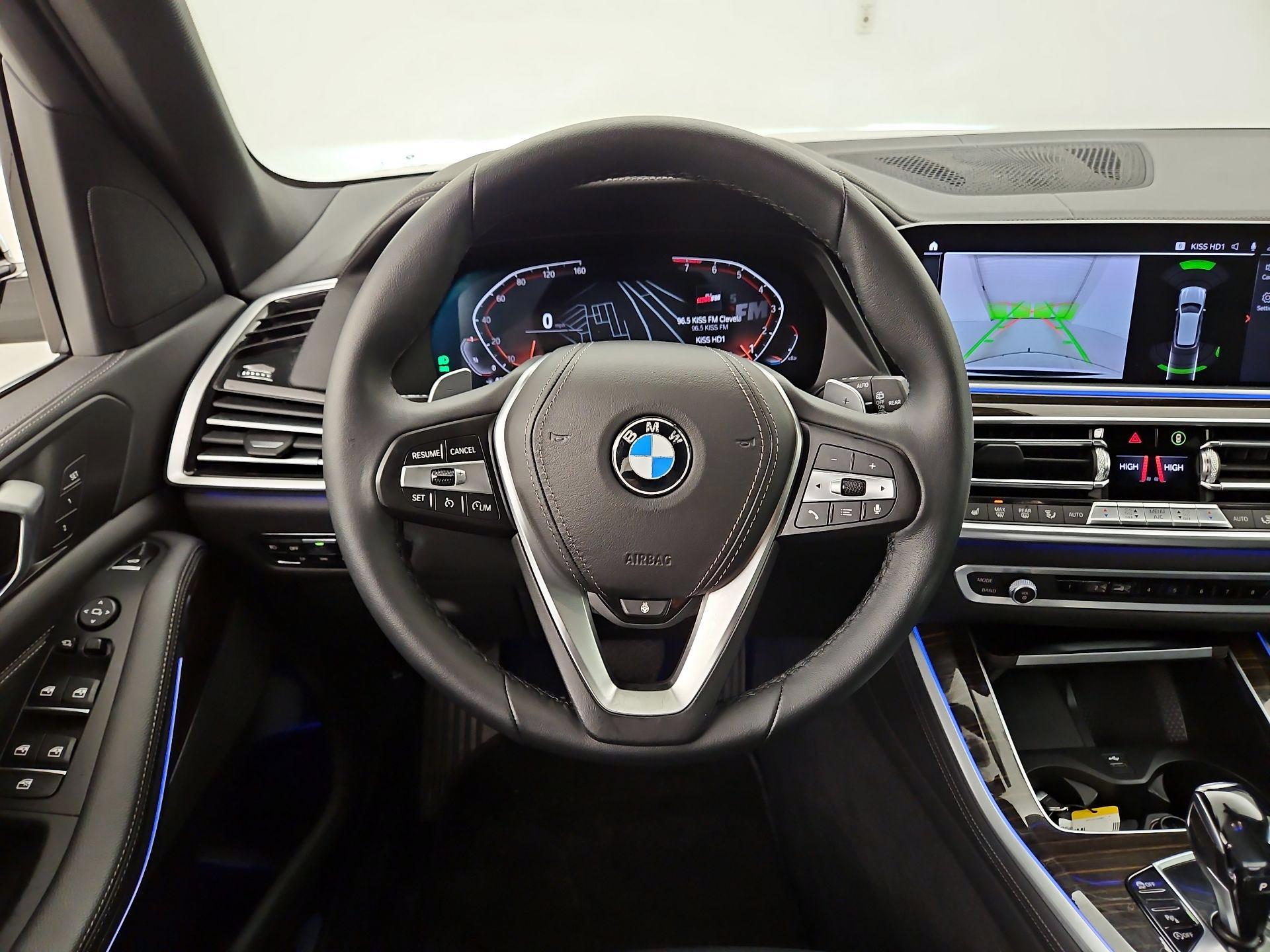 Thumbnail: 2019 BMW X5 - 10