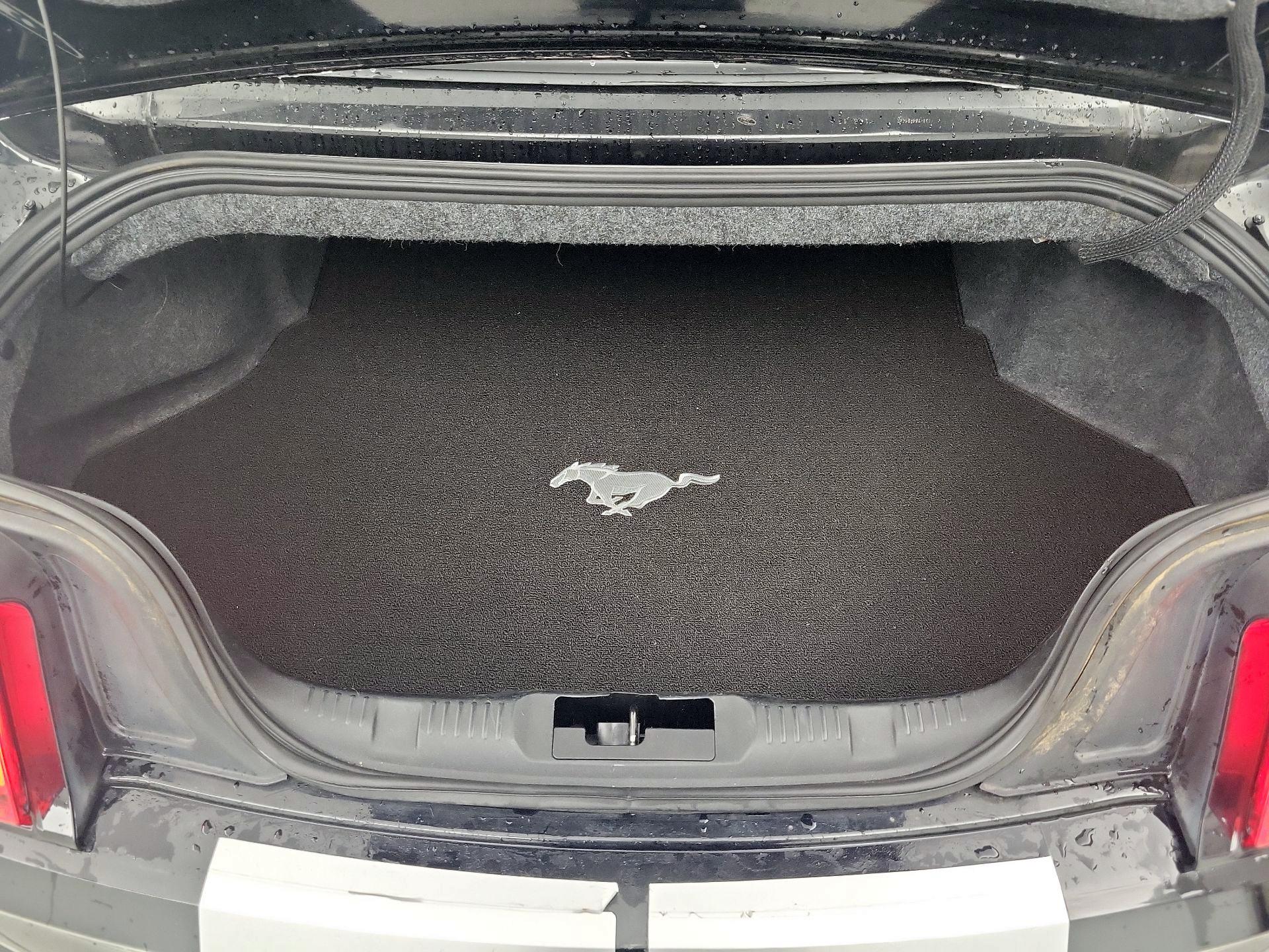 Thumbnail: 2017 Ford Mustang - 19