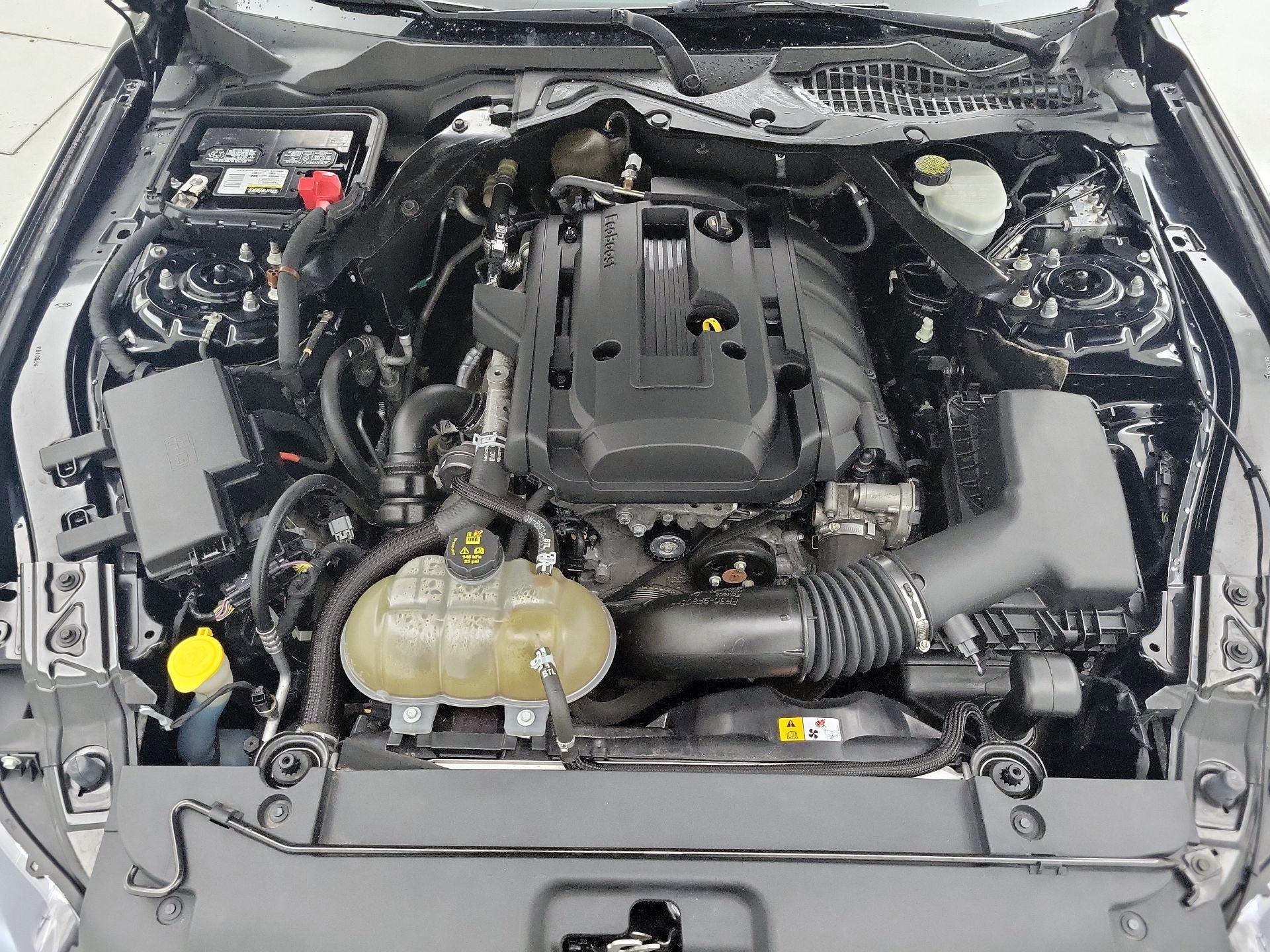 Thumbnail: 2017 Ford Mustang - 20