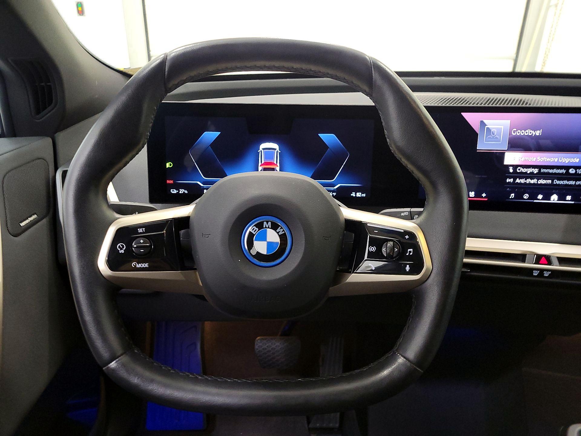 Thumbnail: 2025 BMW iX - 10