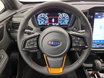 Steering Wheel & Instrument Cluster (On)