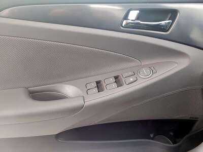 Driver Door Panel