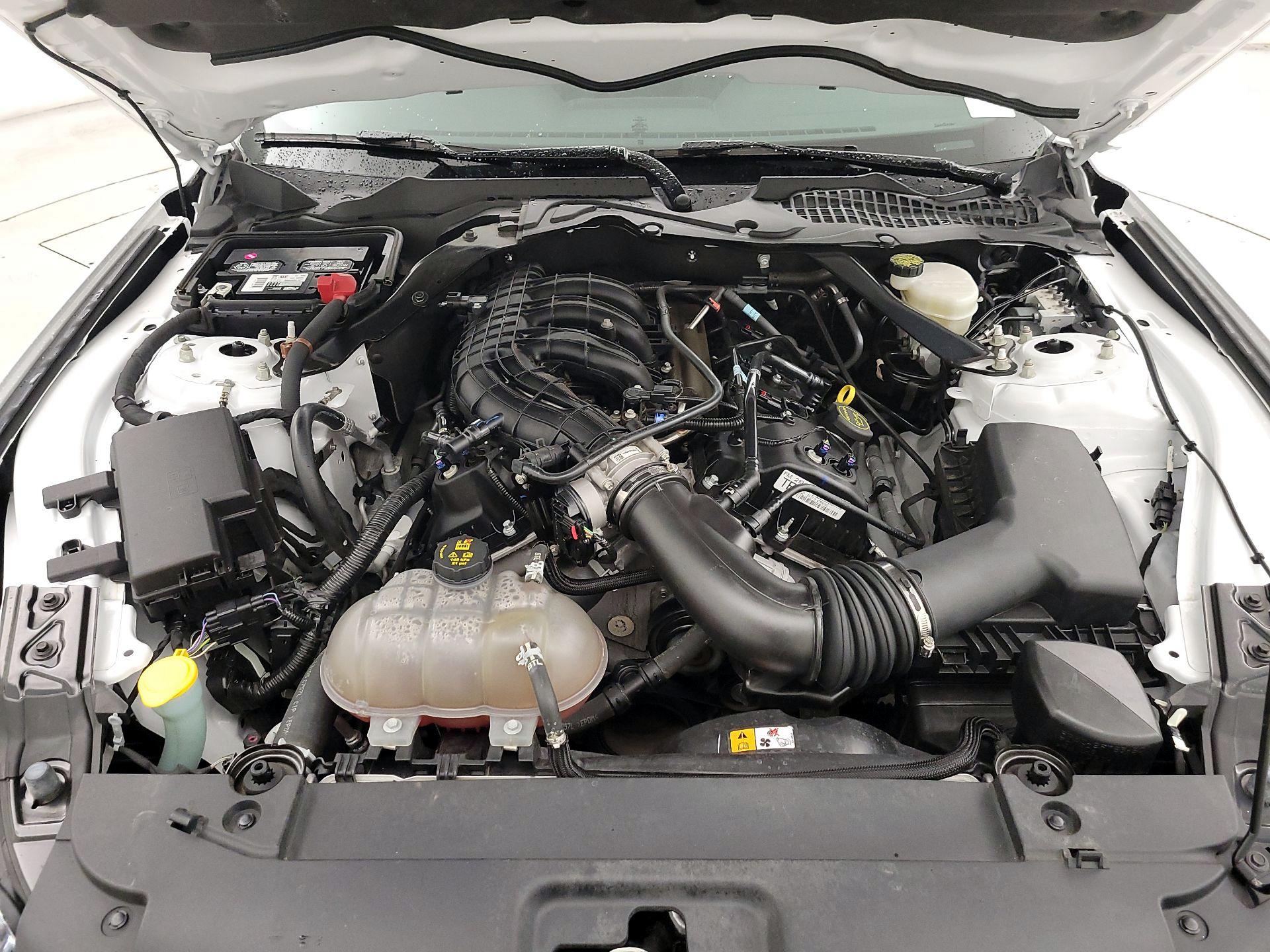 Thumbnail: 2015 Ford Mustang - 20