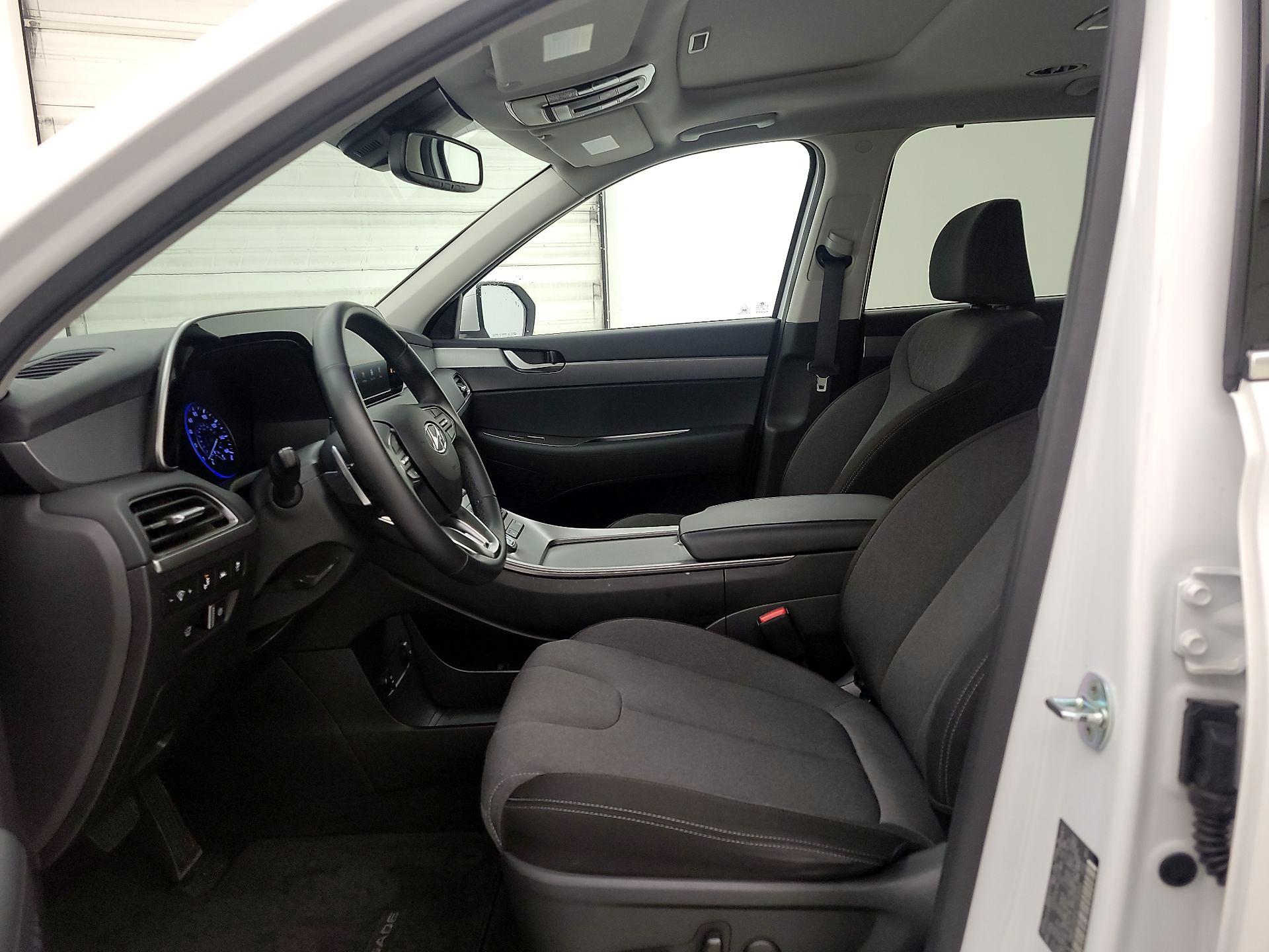 Thumbnail: 2020 Hyundai Palisade - 11