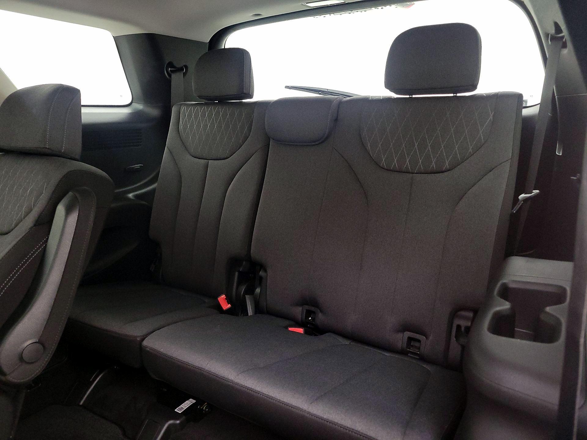 Thumbnail: 2020 Hyundai Palisade - 20