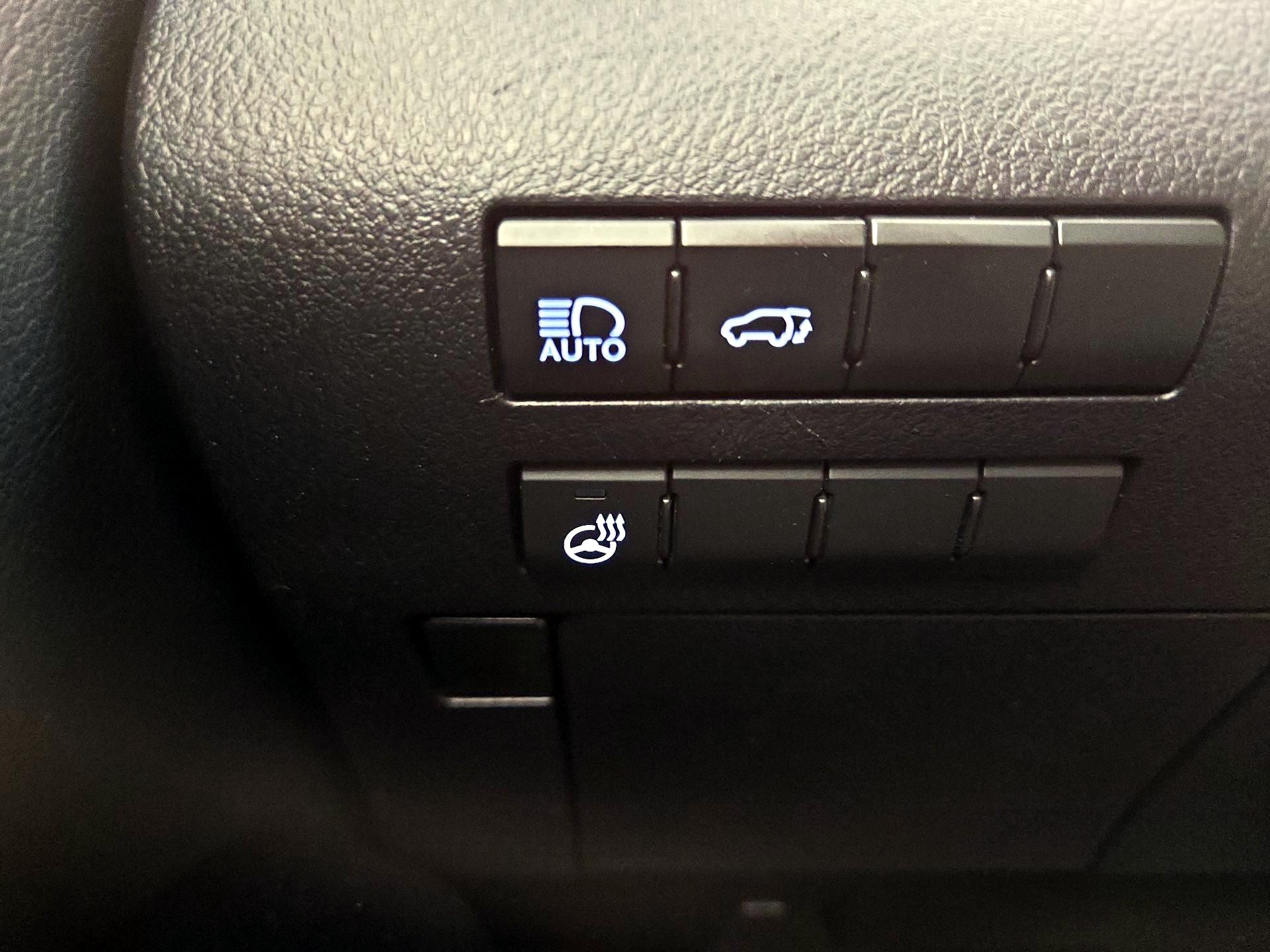 Thumbnail: 2019 Lexus RX - 13