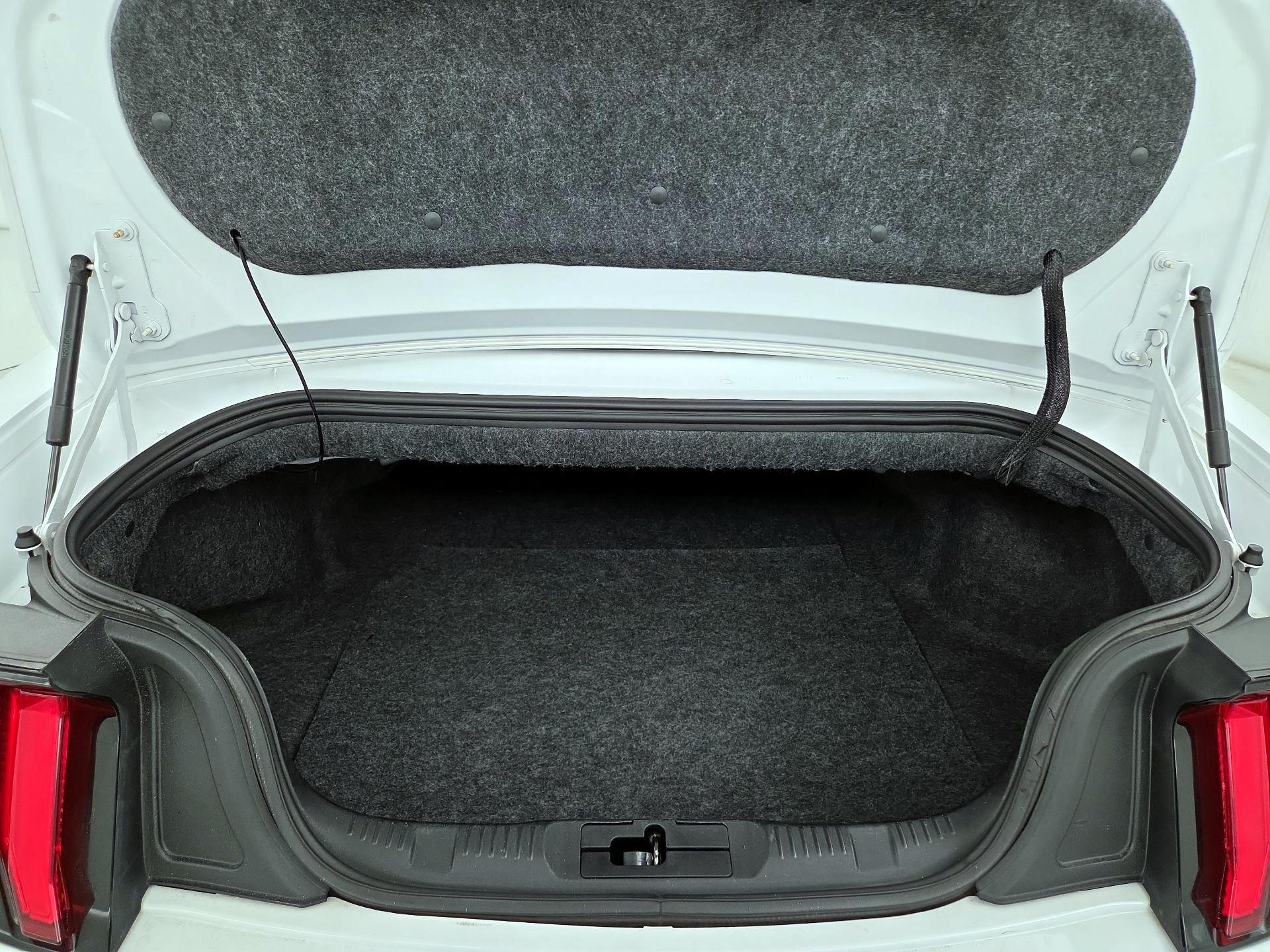 Thumbnail: 2018 Ford Mustang - 19