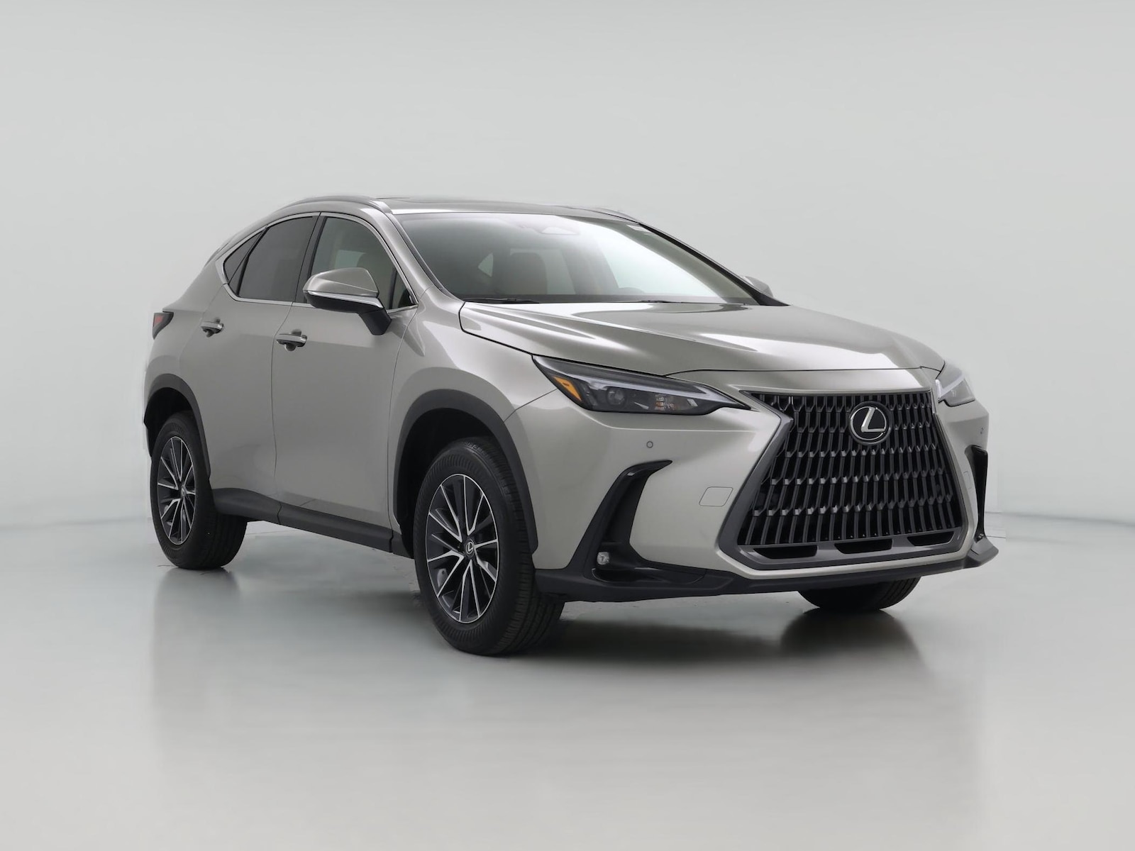 2025 Lexus NX 250