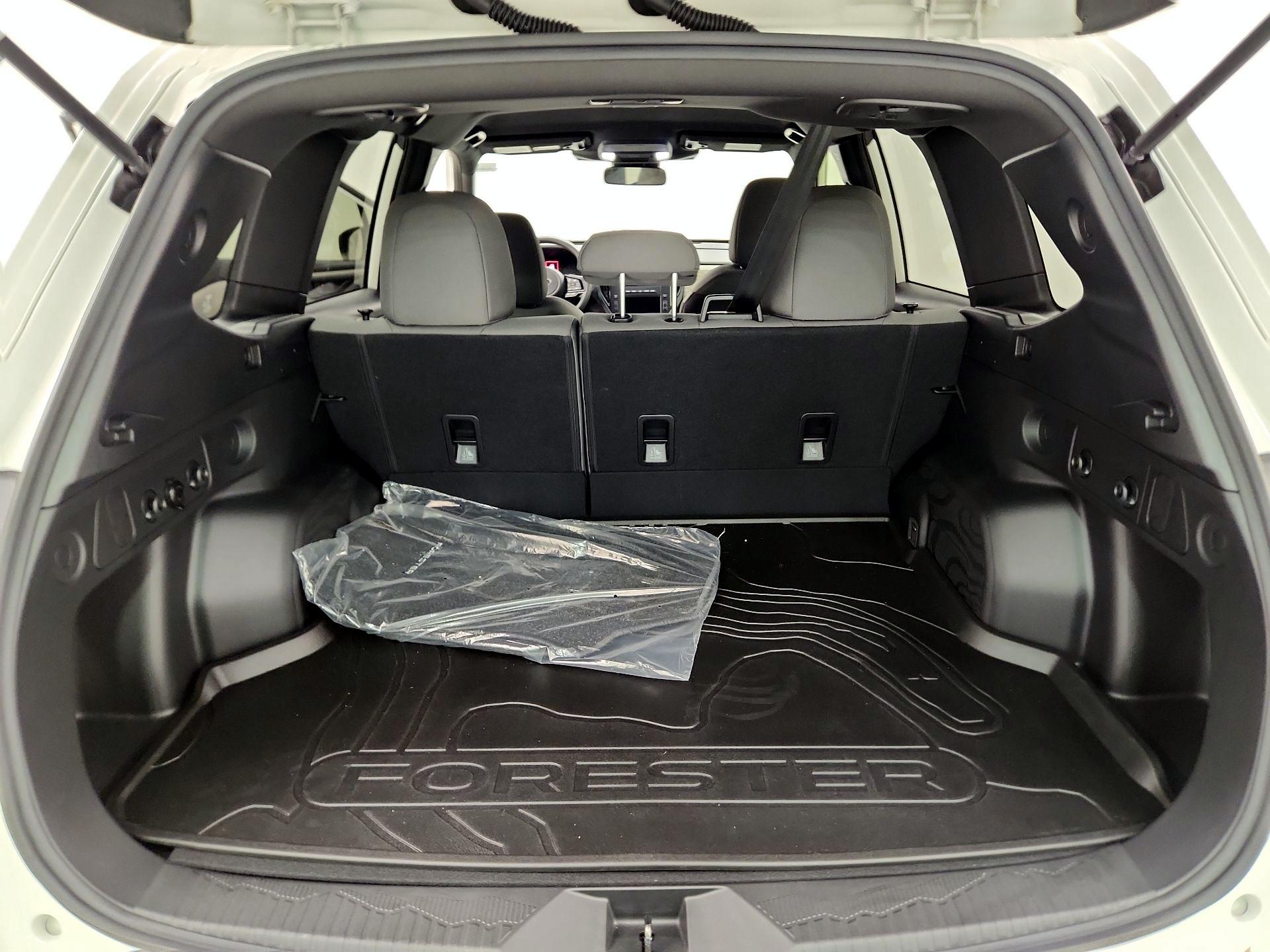 Thumbnail: 2025 Subaru Forester - 17