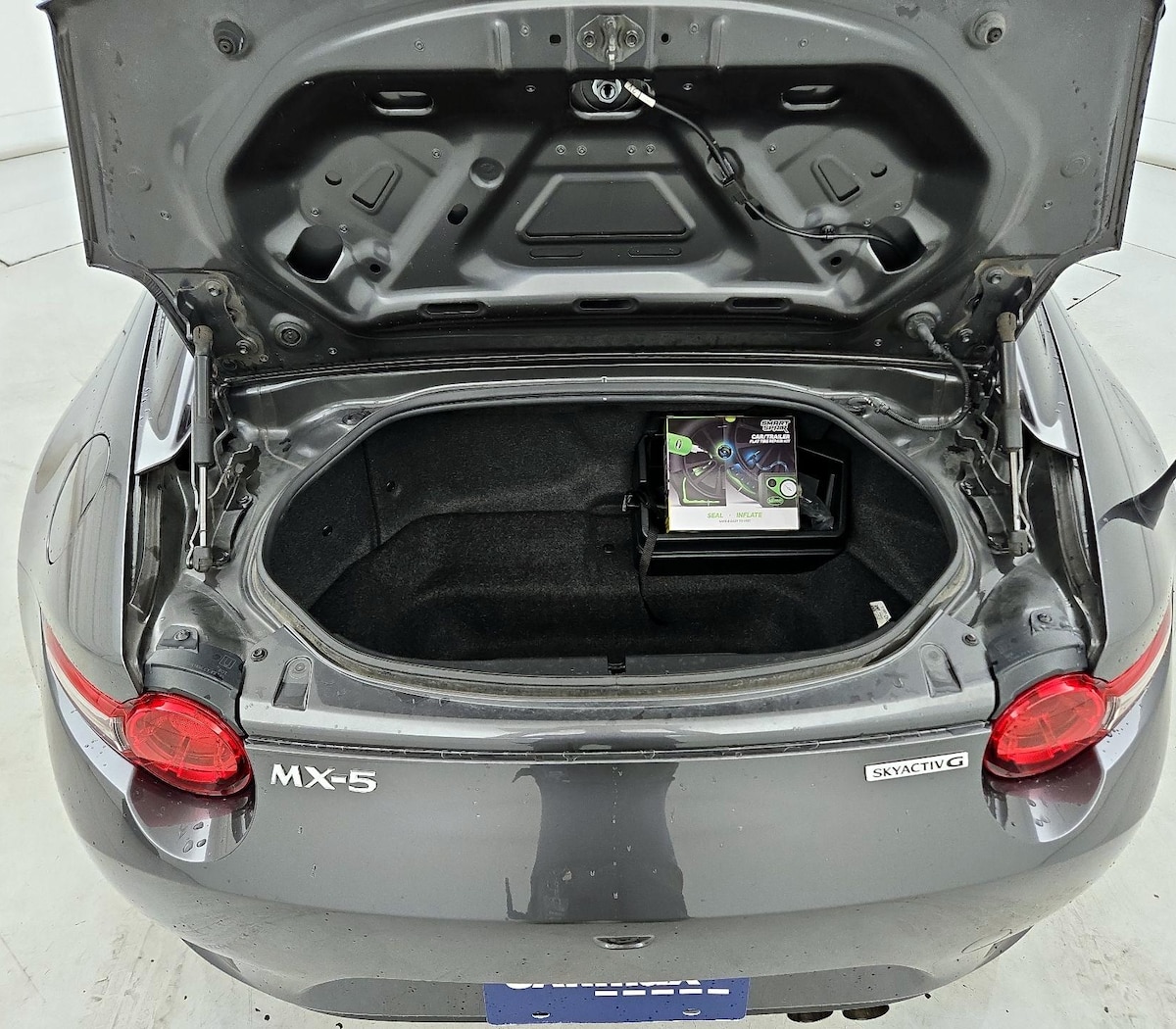 Trunk/Cargo (Seats Up)