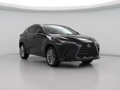2024 Lexus NX 350 Luxury