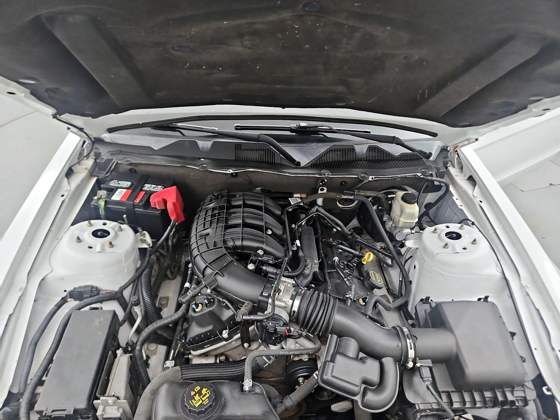 Thumbnail: 2014 Ford Mustang - 20