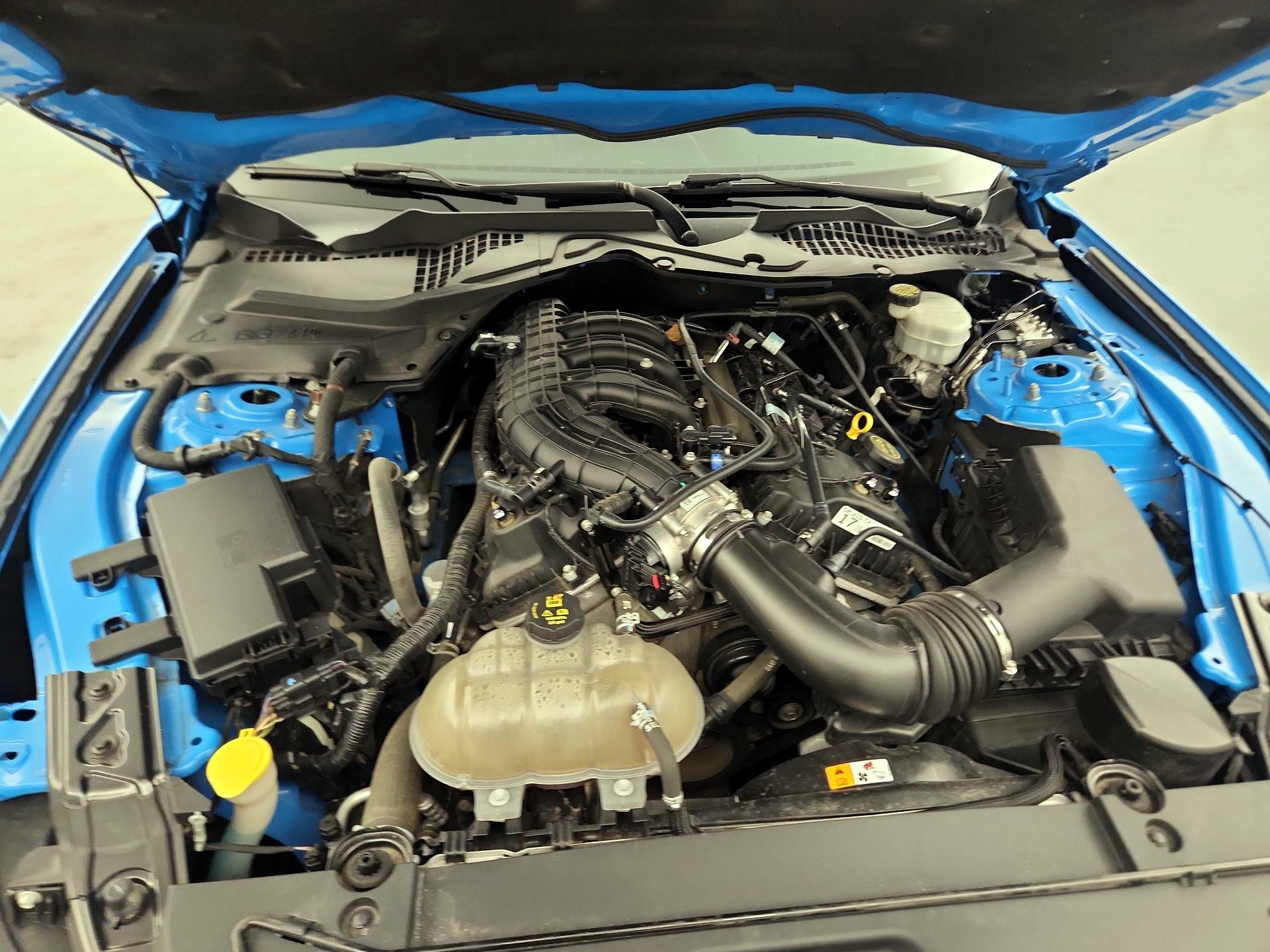 Thumbnail: 2017 Ford Mustang - 19