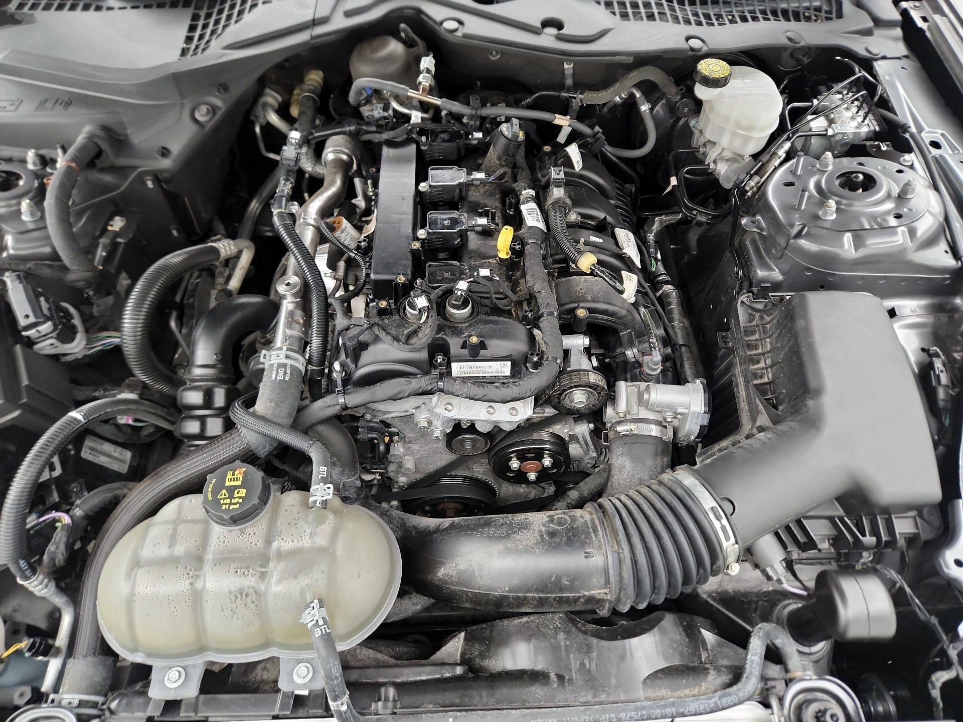 Thumbnail: 2021 Ford Mustang - 20