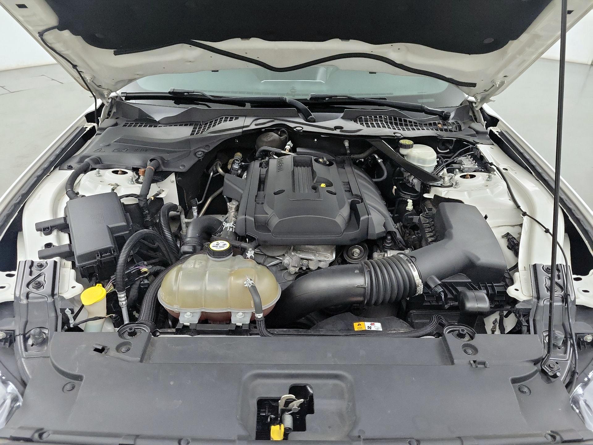 Thumbnail: 2017 Ford Mustang - 19