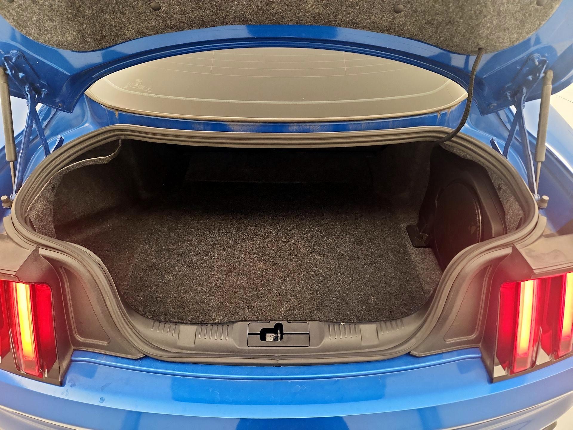 Thumbnail: 2019 Ford Mustang - 19