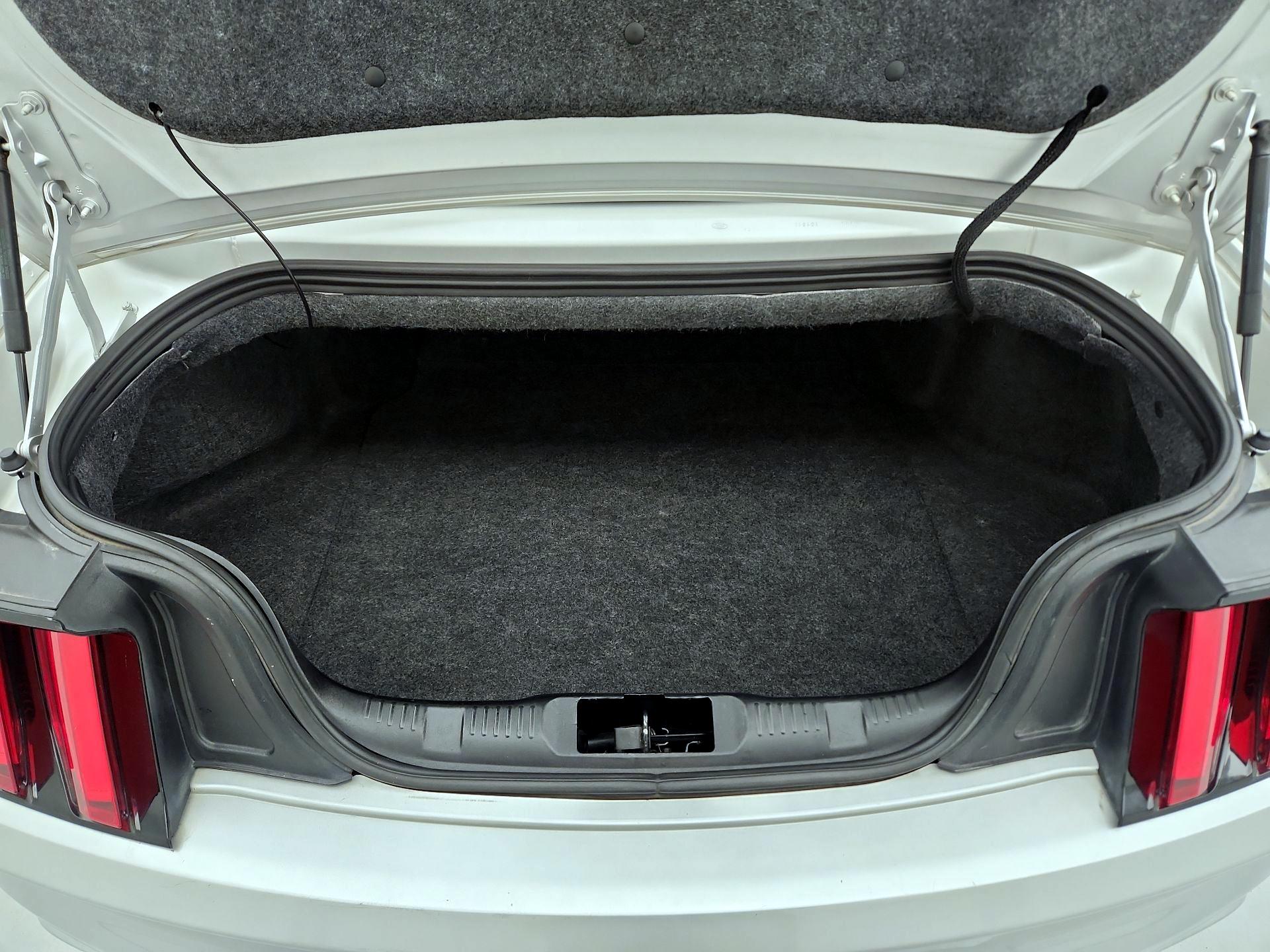 Thumbnail: 2016 Ford Mustang - 19