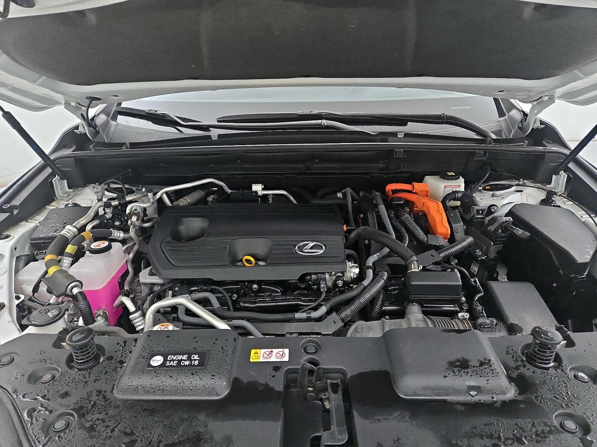 Thumbnail: 2024 Lexus NX - 20