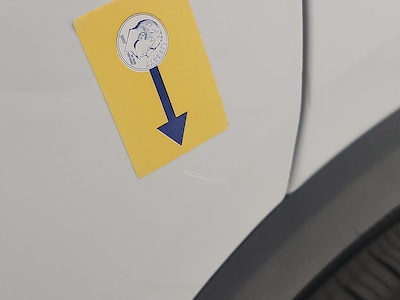 Rear Door Driver Side Cosmetic Imperfection