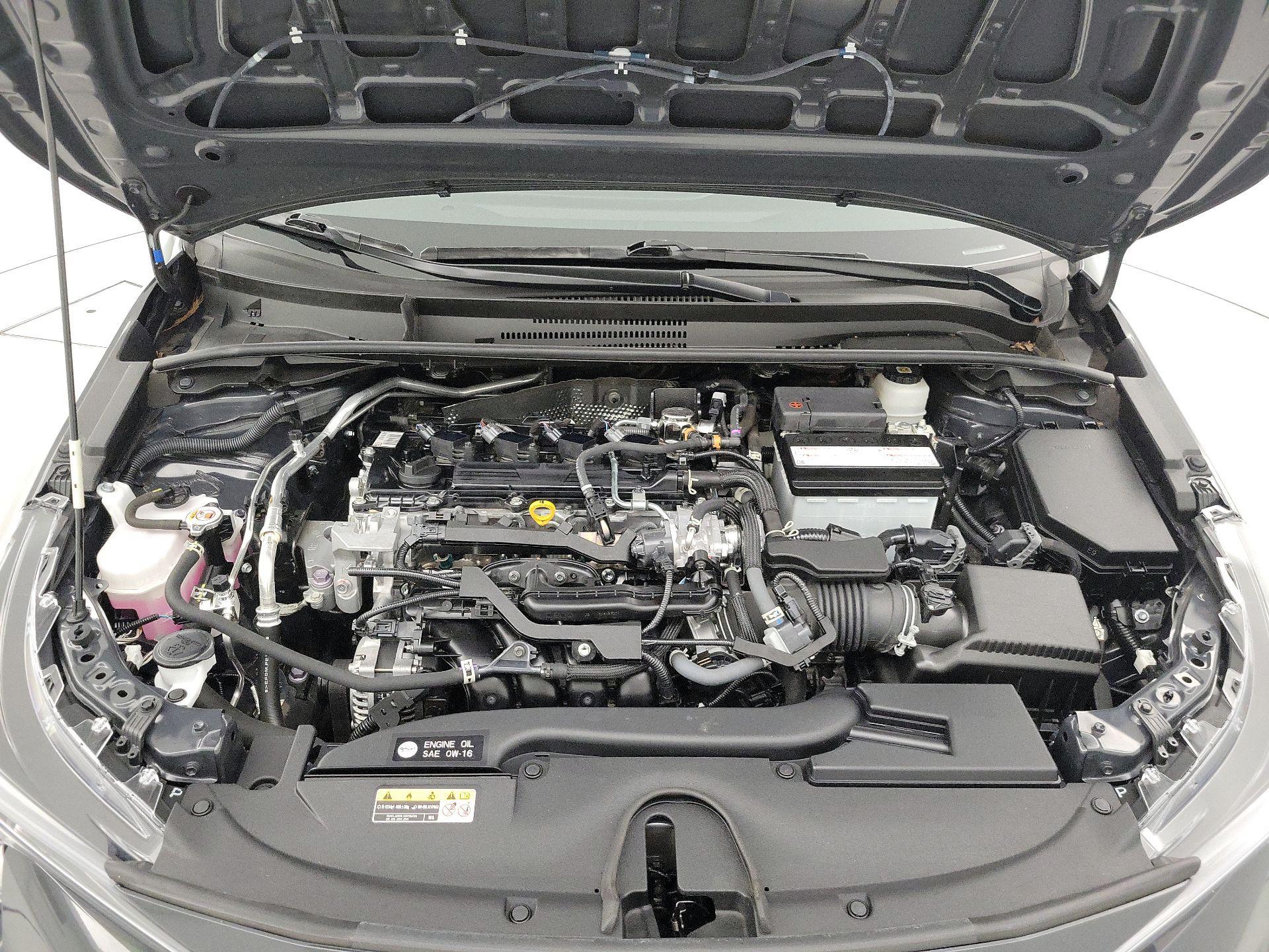 Thumbnail: 2019 Toyota Corolla - 20