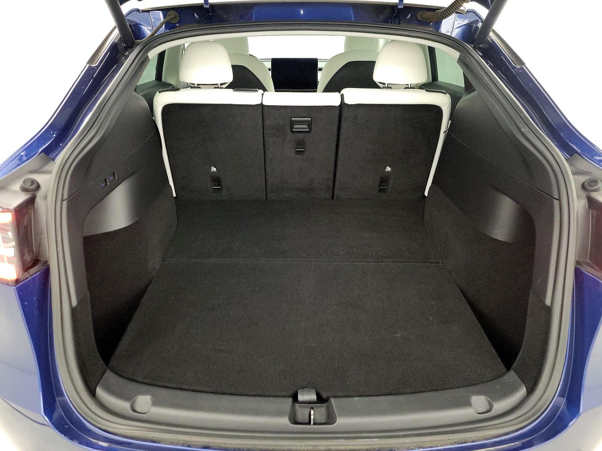 Thumbnail: 2021 Tesla Model Y - 19